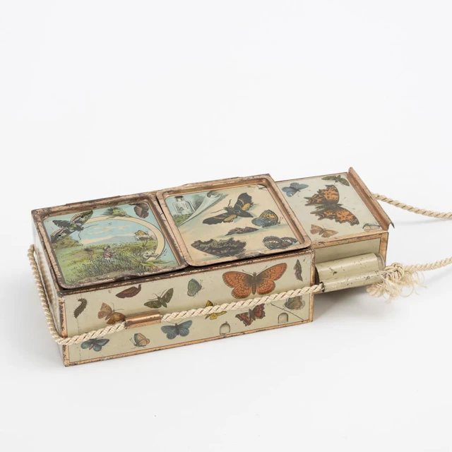 Rare botanical drum.