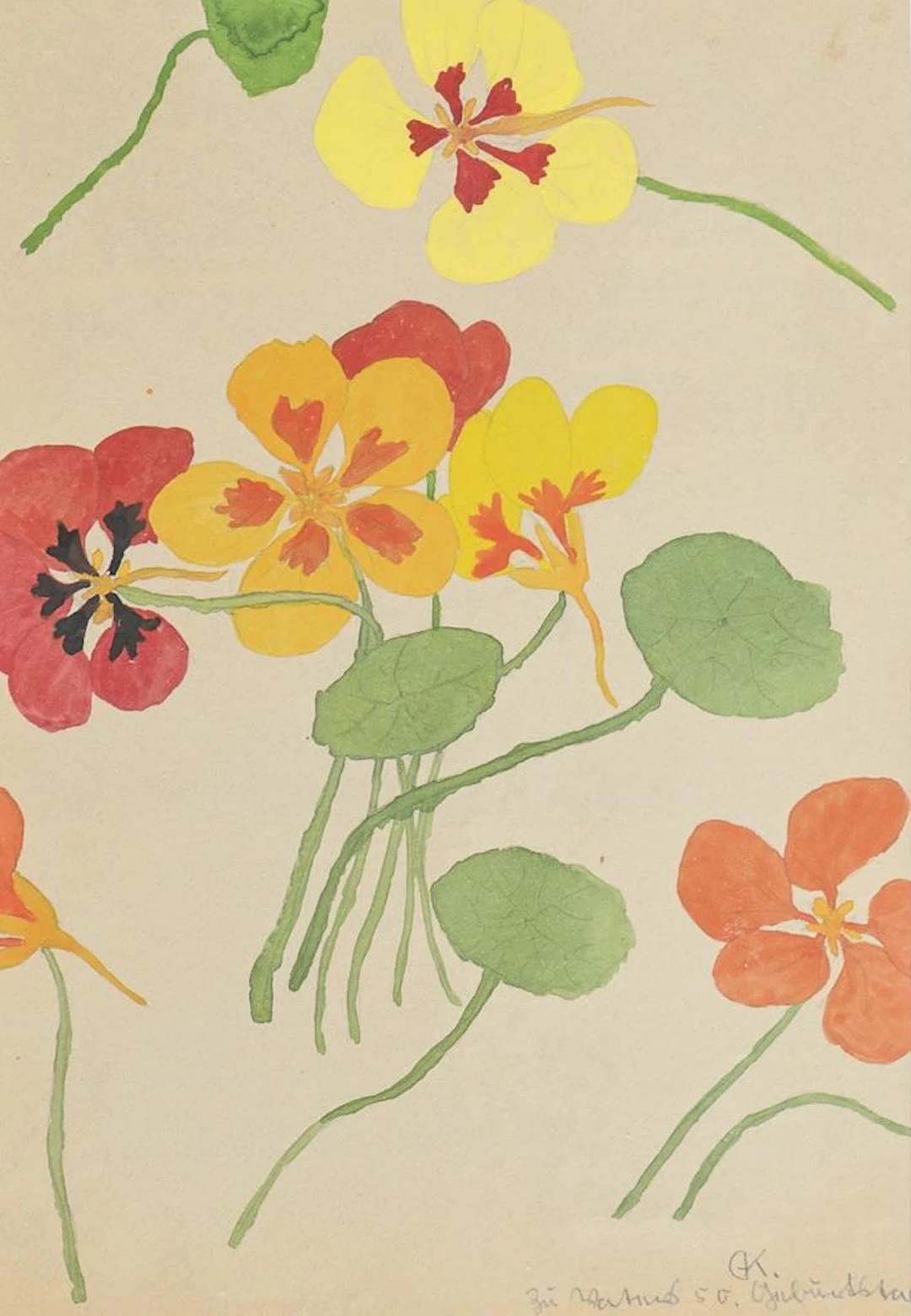 KAMPF, Gertrud, KAMPF, Gertrud, KAMPF, Gertrud, Nasturtium