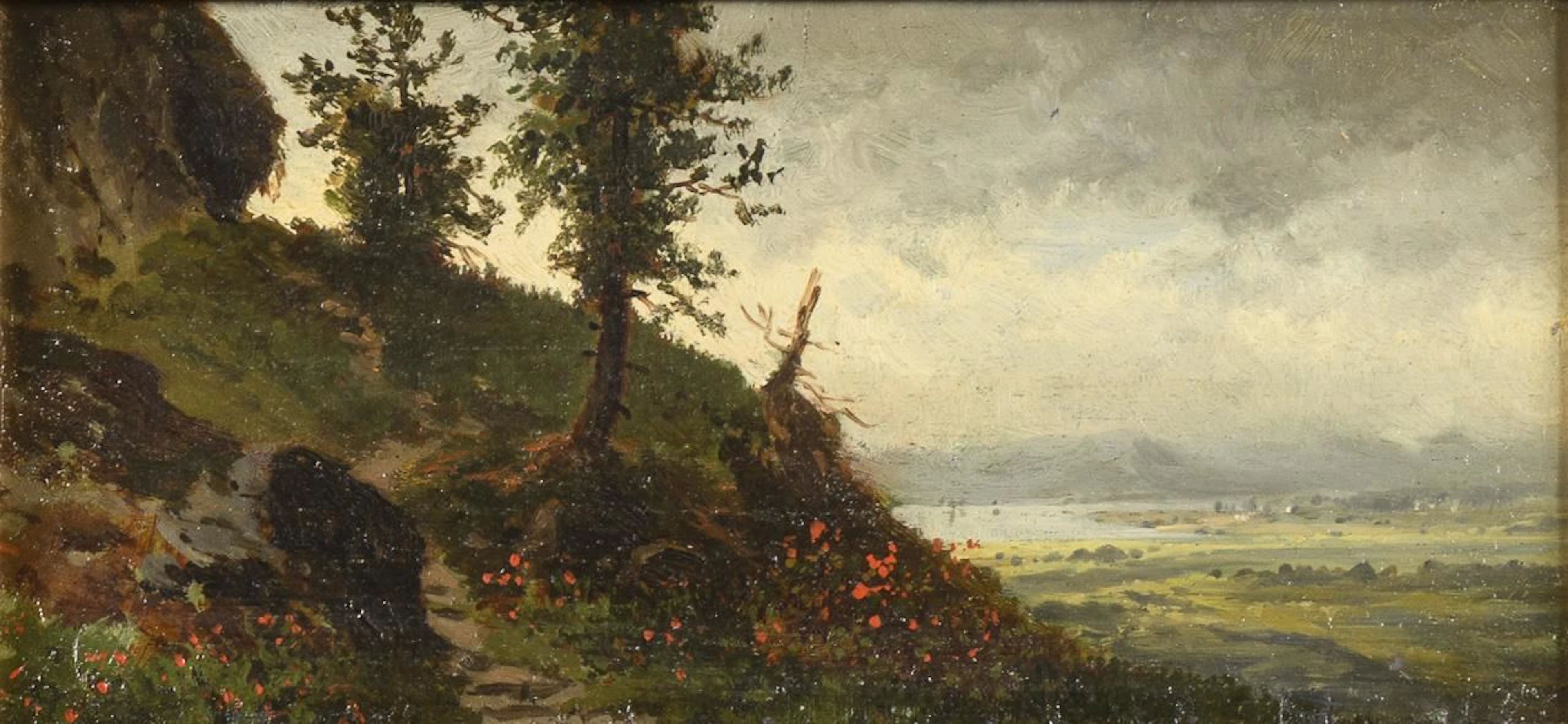 Vast Pre-Alpine Landscape.