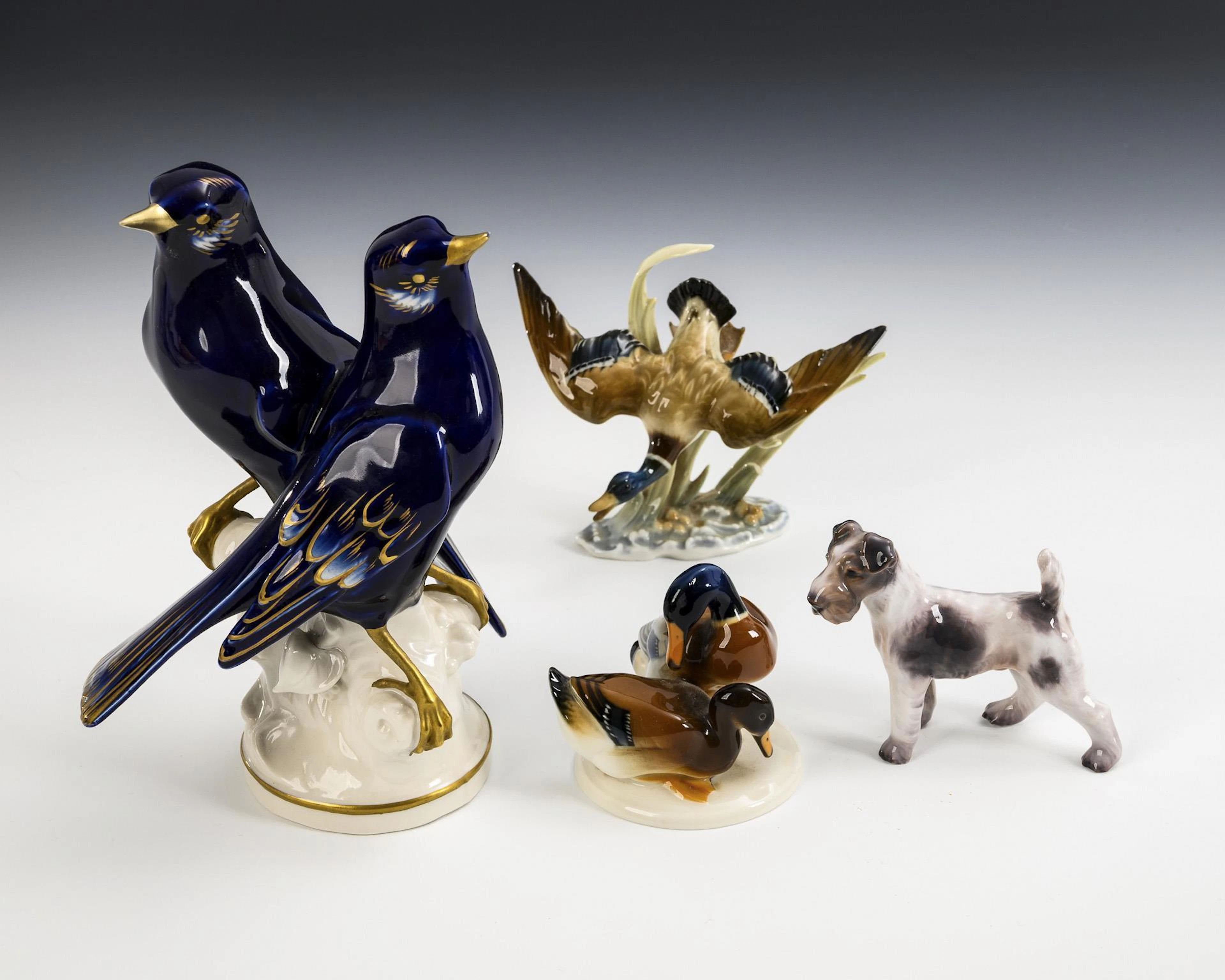 Blackbird group, duck, duck group and fox terrier.