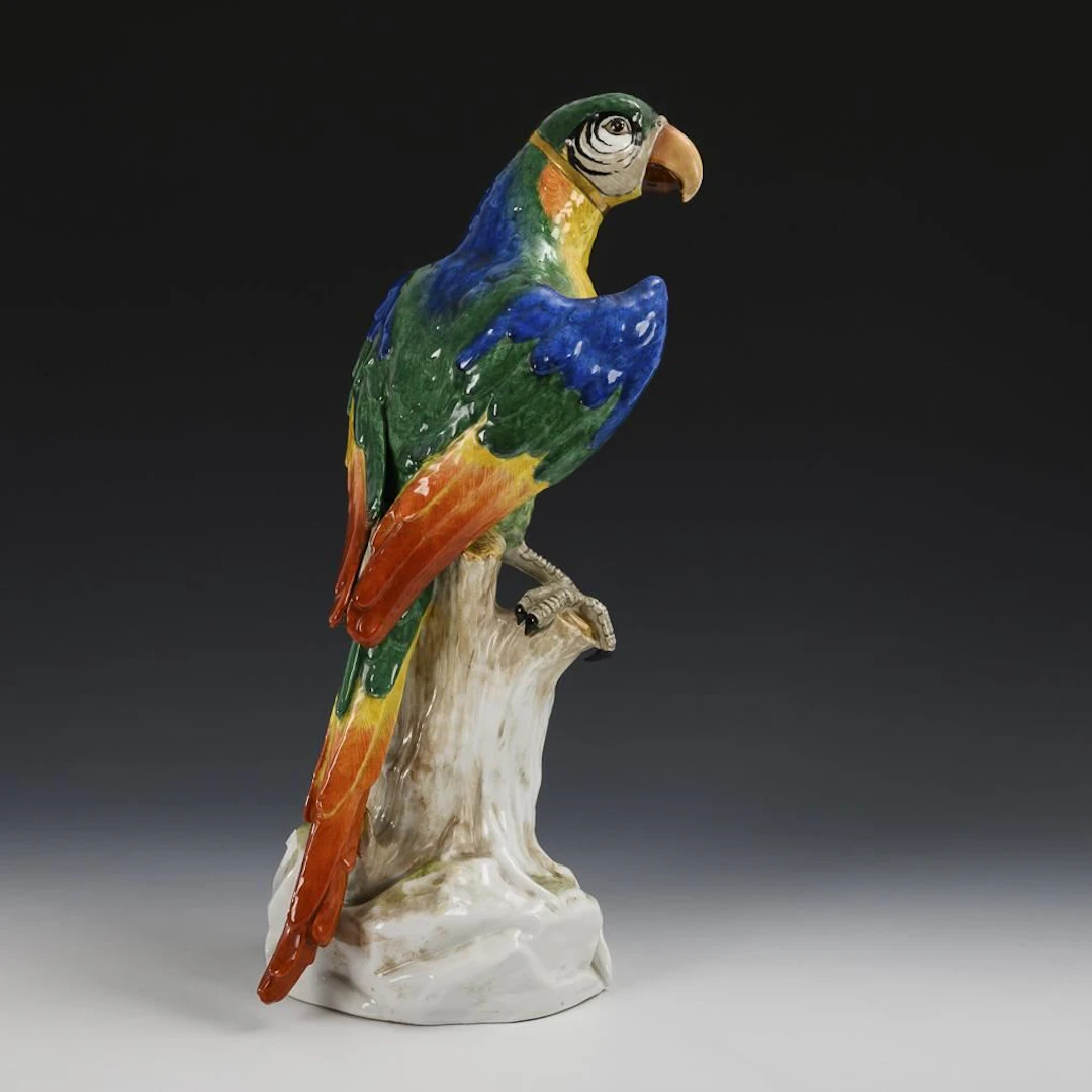 Parrot on a tree trunk. Potschappel.