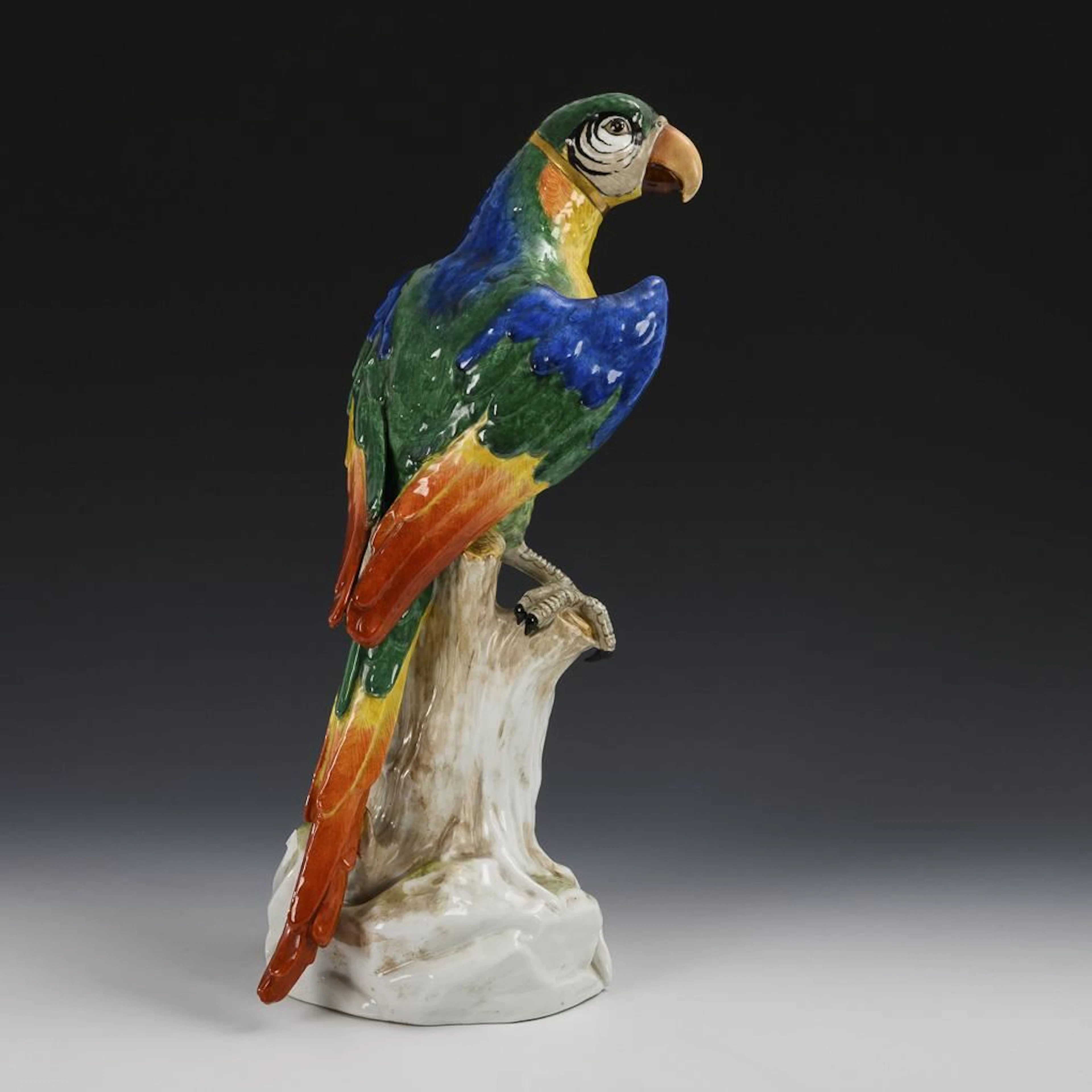 Parrot on a tree trunk. Potschappel.