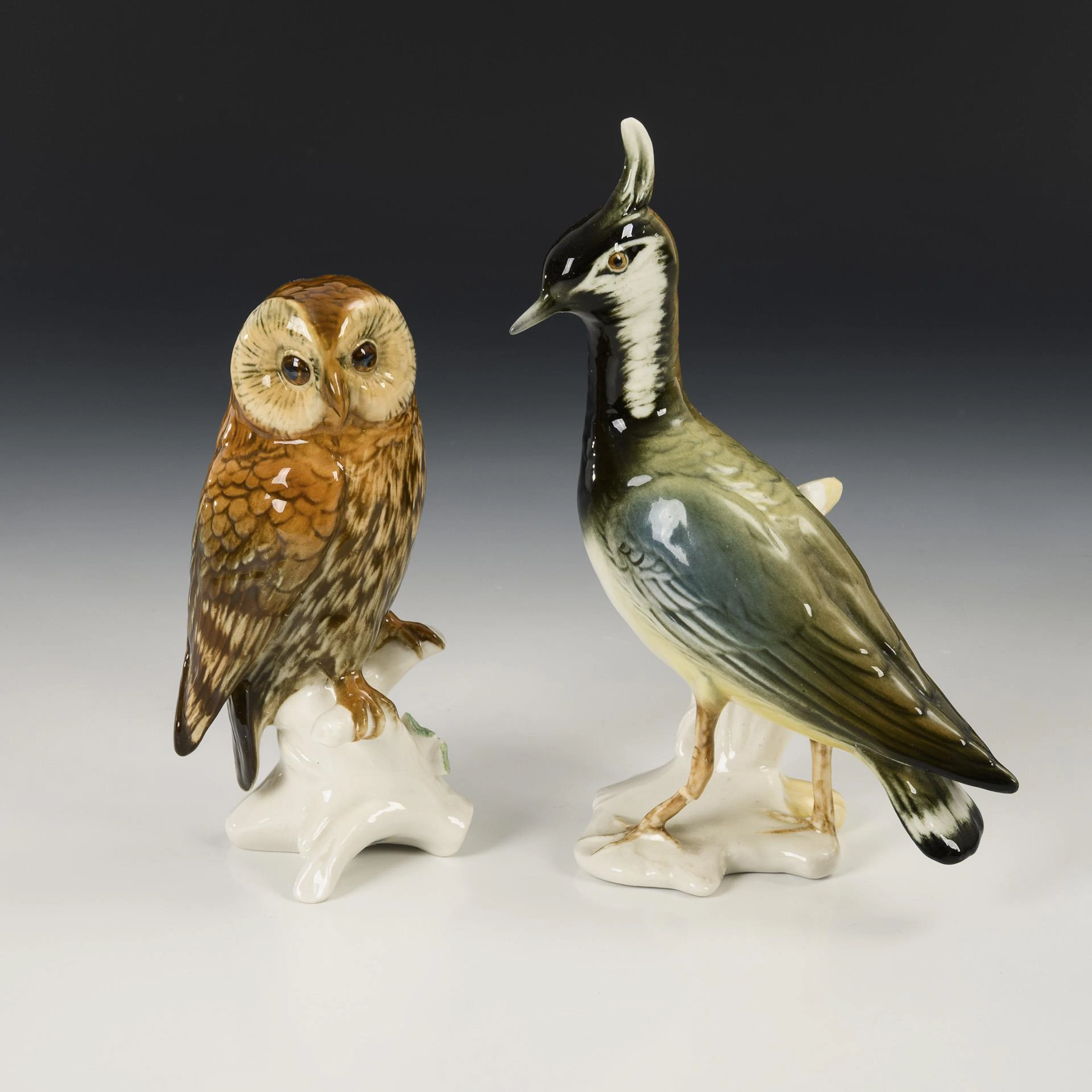 Owl and lapwing. ENS.