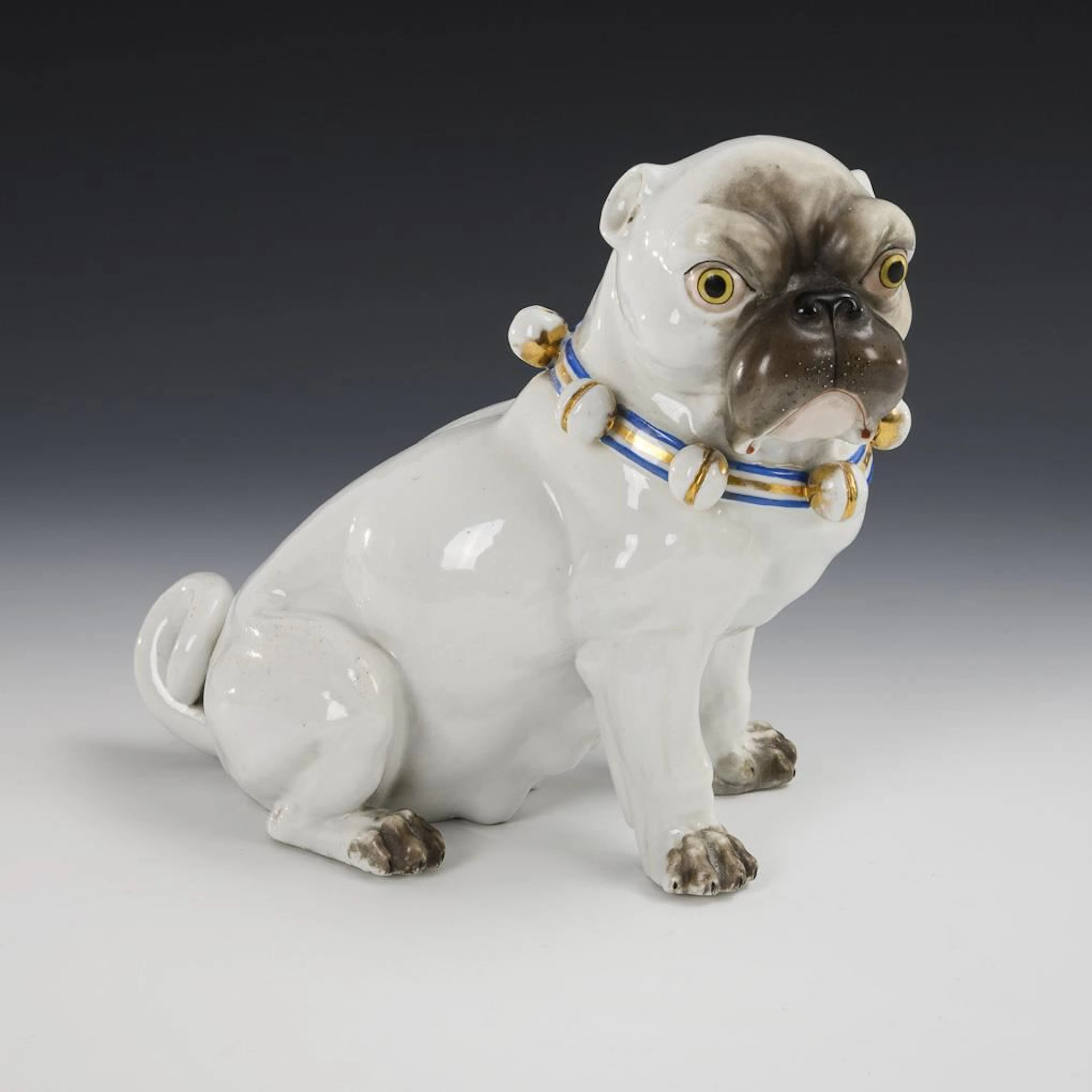 Seated pug with a bell collar.