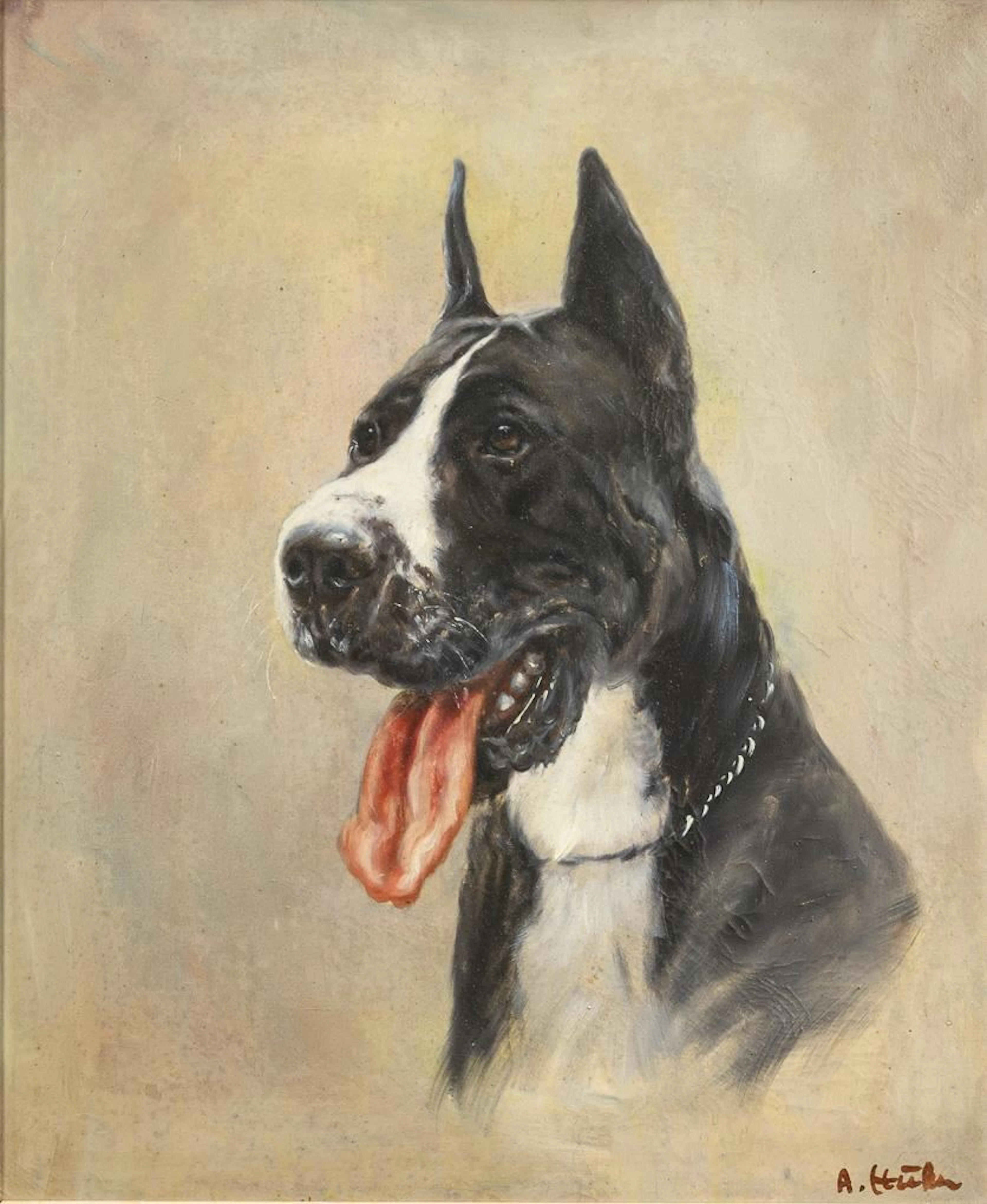 Indistinctly signed: Portrait of a Great Dane