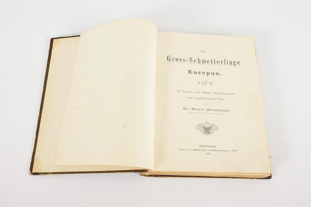 HOFFMANN, Ernst, HOFFMANN, Ernst, "The Large Butterflies of Europe"
