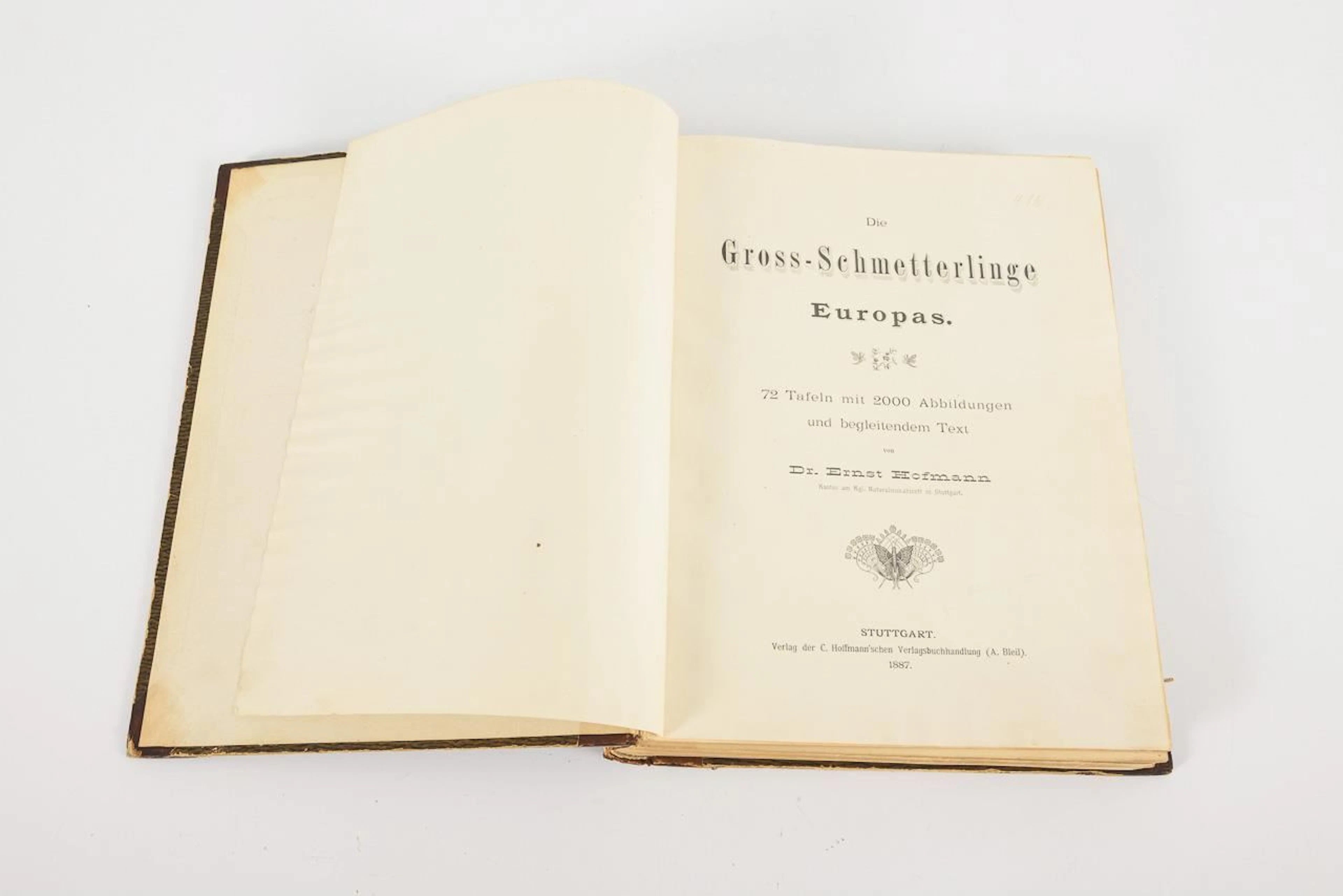 HOFFMANN, Ernst, HOFFMANN, Ernst, "The Large Butterflies of Europe"