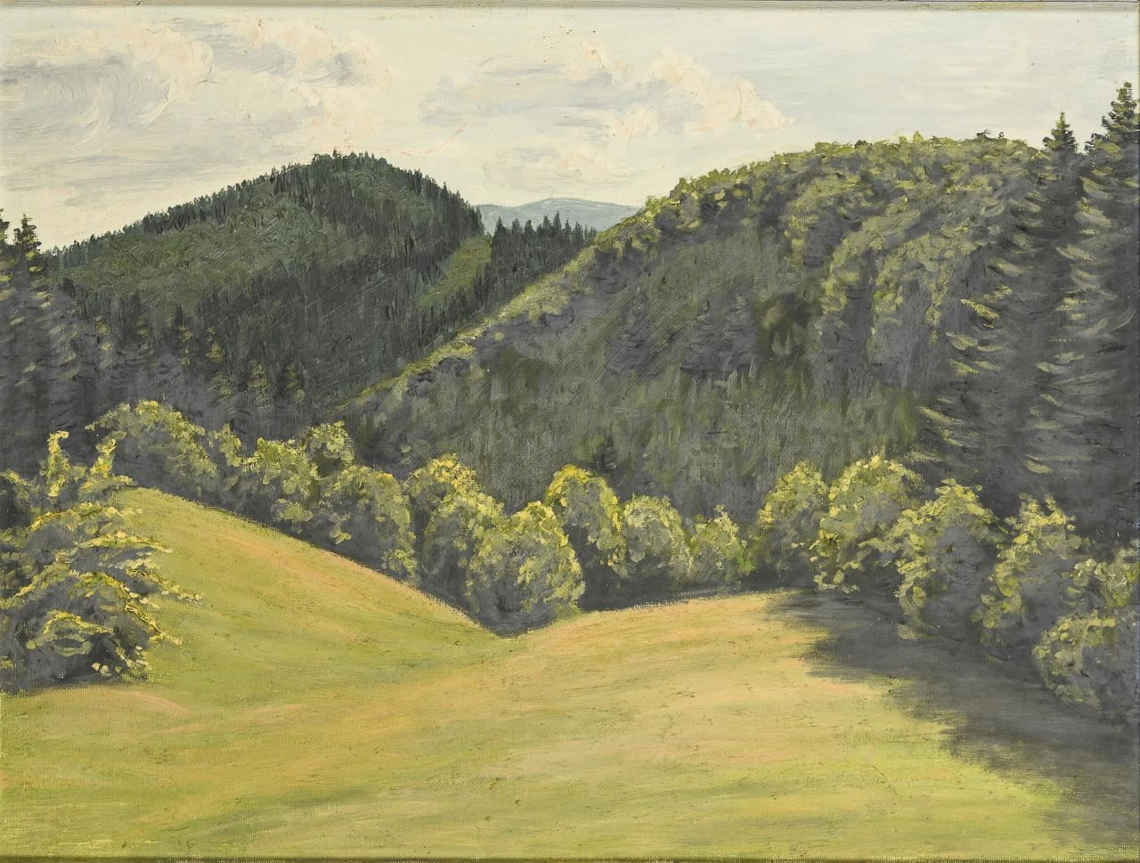 Sunny Forest Landscape