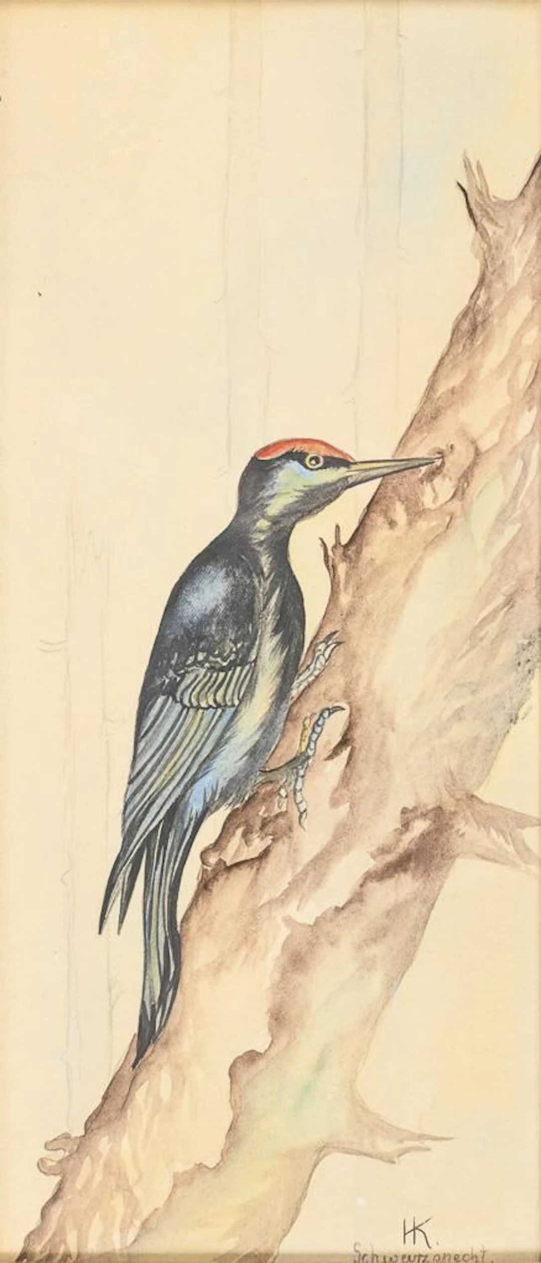 Monogramist "HK": Black Woodpecker on a Tree Trunk