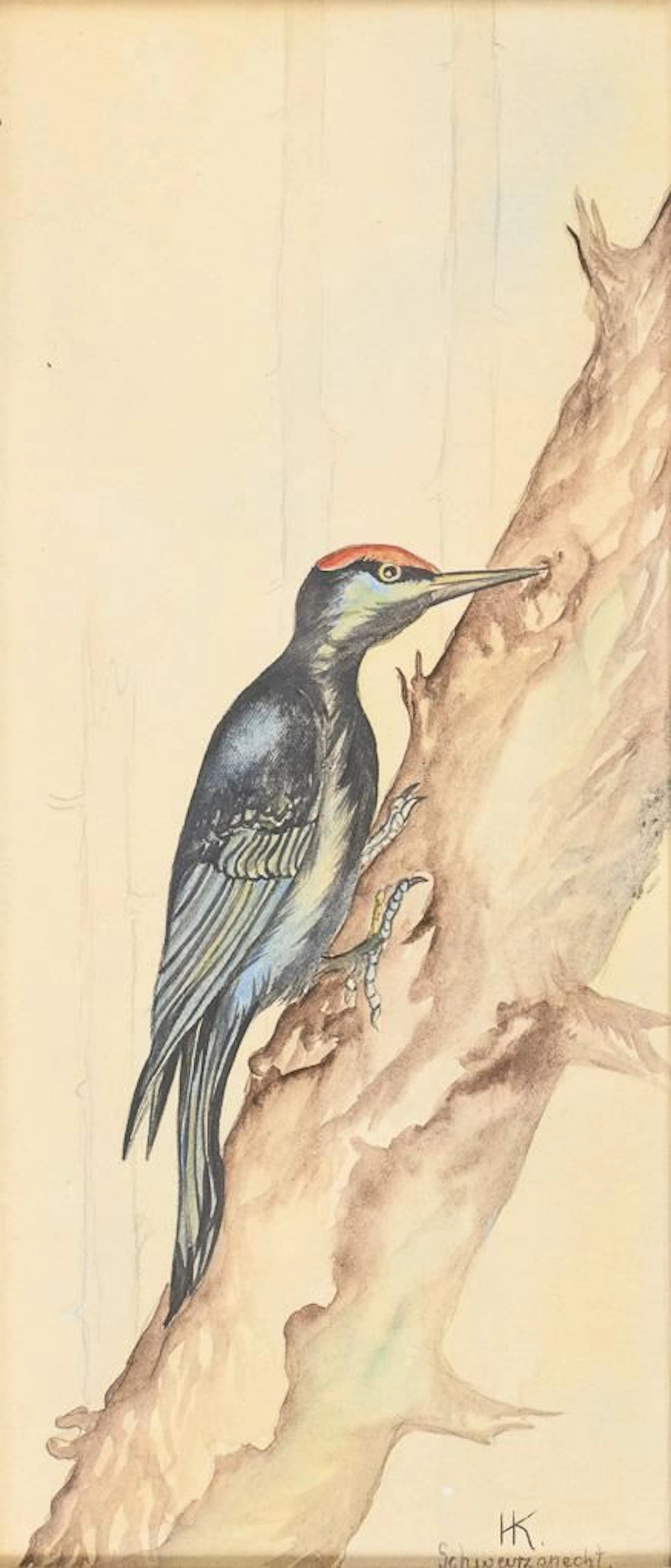 Monogramist "HK": Black Woodpecker on a Tree Trunk