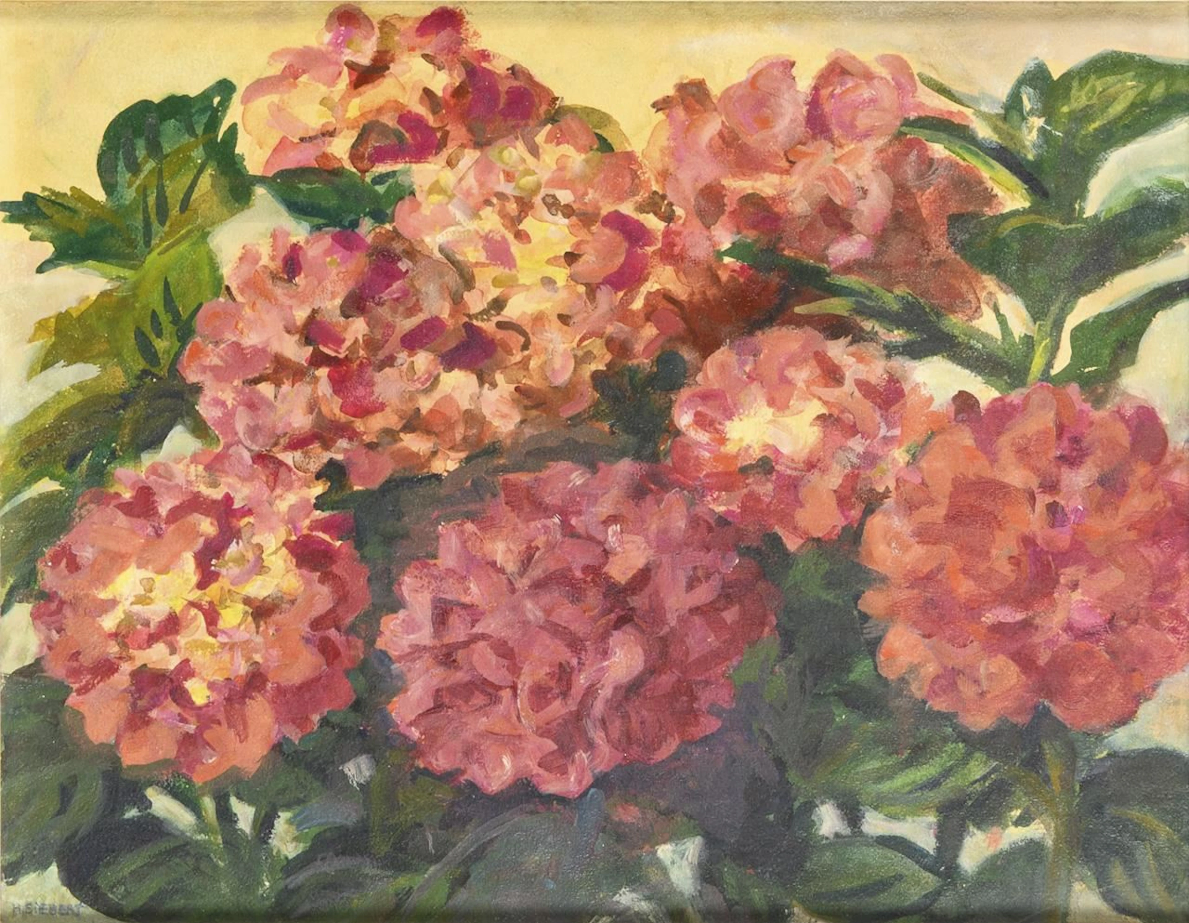 SIEBERT, H. SIEBERT, H. SIEBERT, H. Flower Still Life