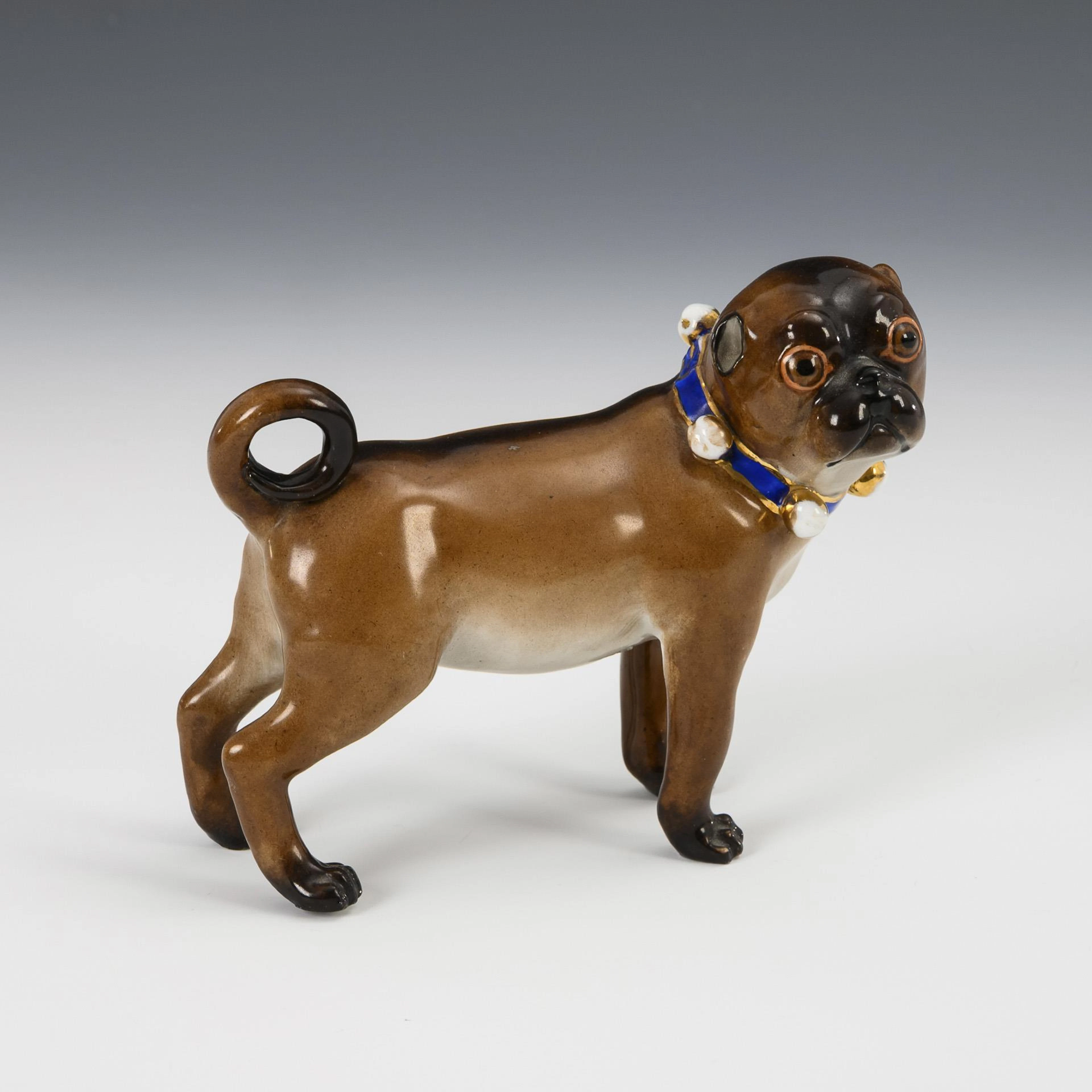 Pug with bell band. Schierholz.
