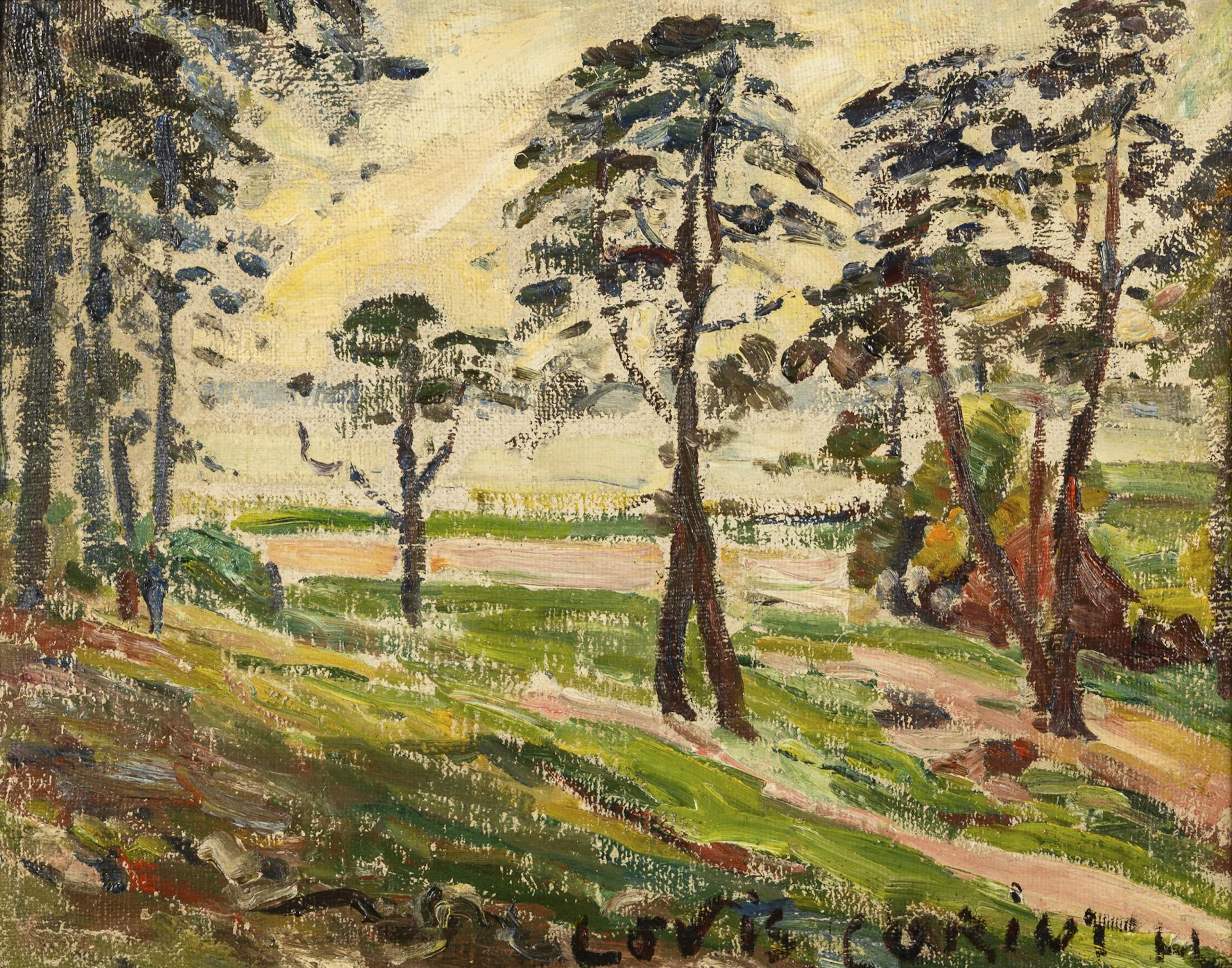 Modern Landscape