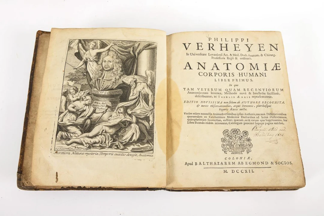 VERHEYEN, Philippi, VERHEYEN, Philippi, VERHEYEN, Philippi, "Corporis
