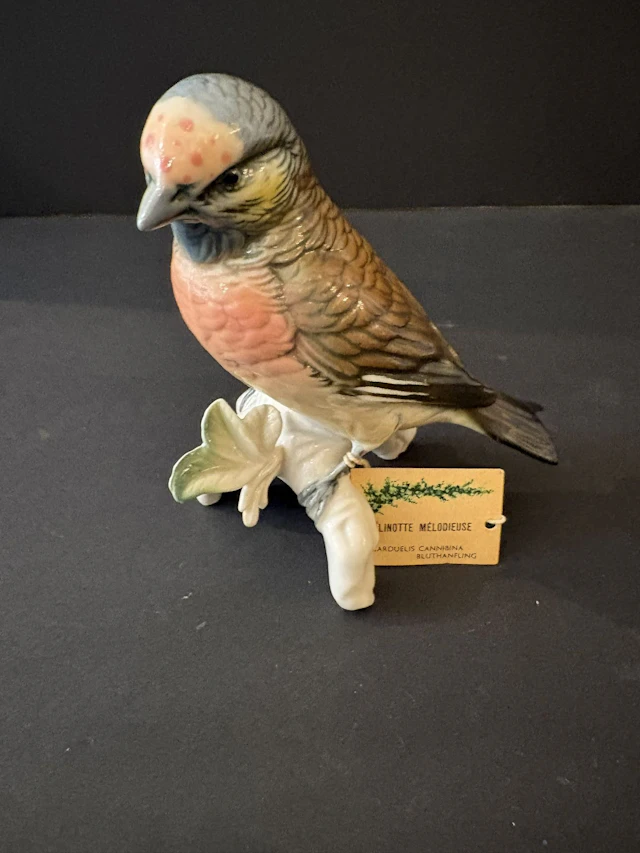 KARL ENS (Allemagne). Linotte mélodieuse en porcelaine polyc - Lot 318