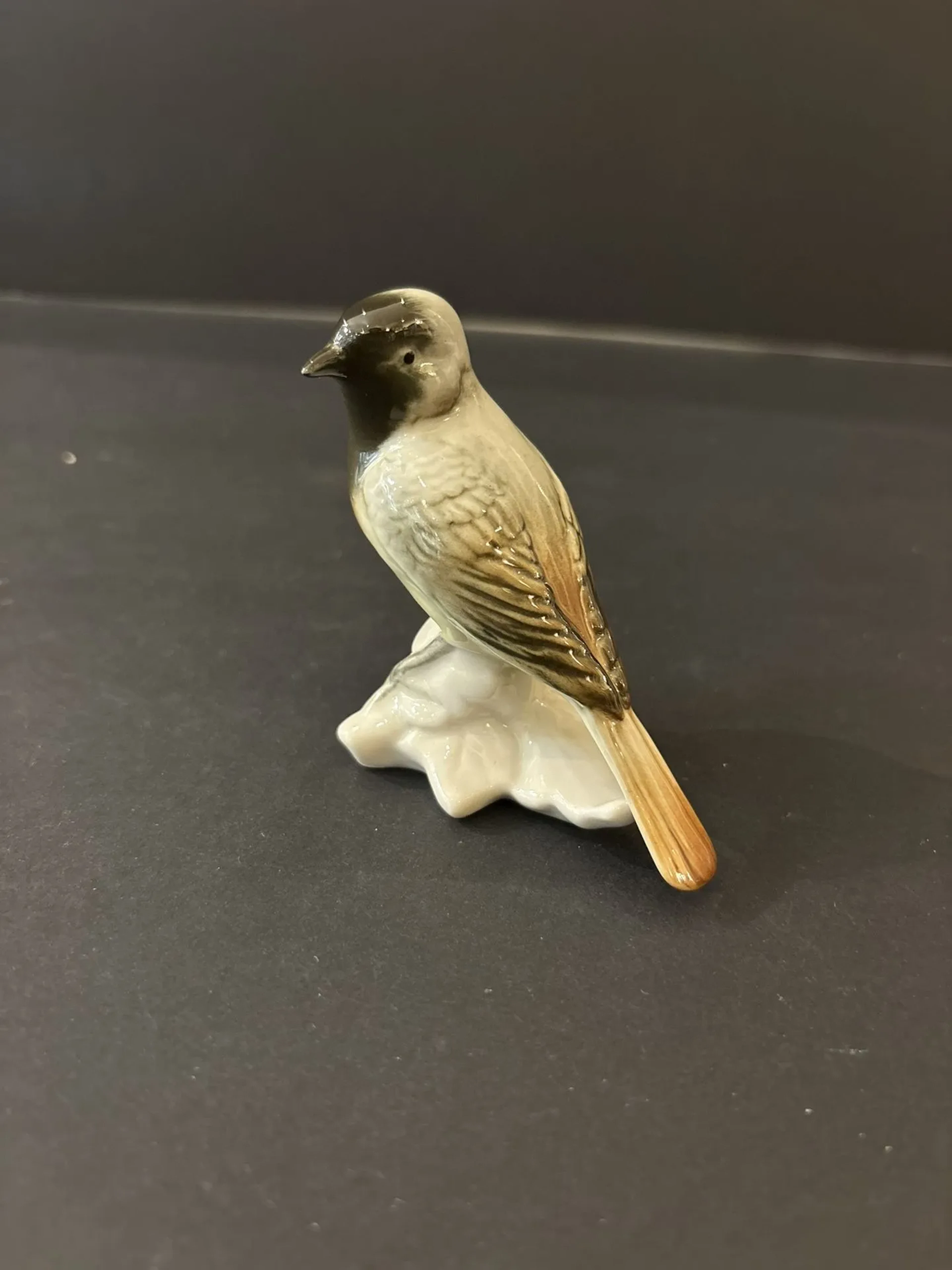 KARL ENS (Allemagne). Mésange a tête noire - Lot 320