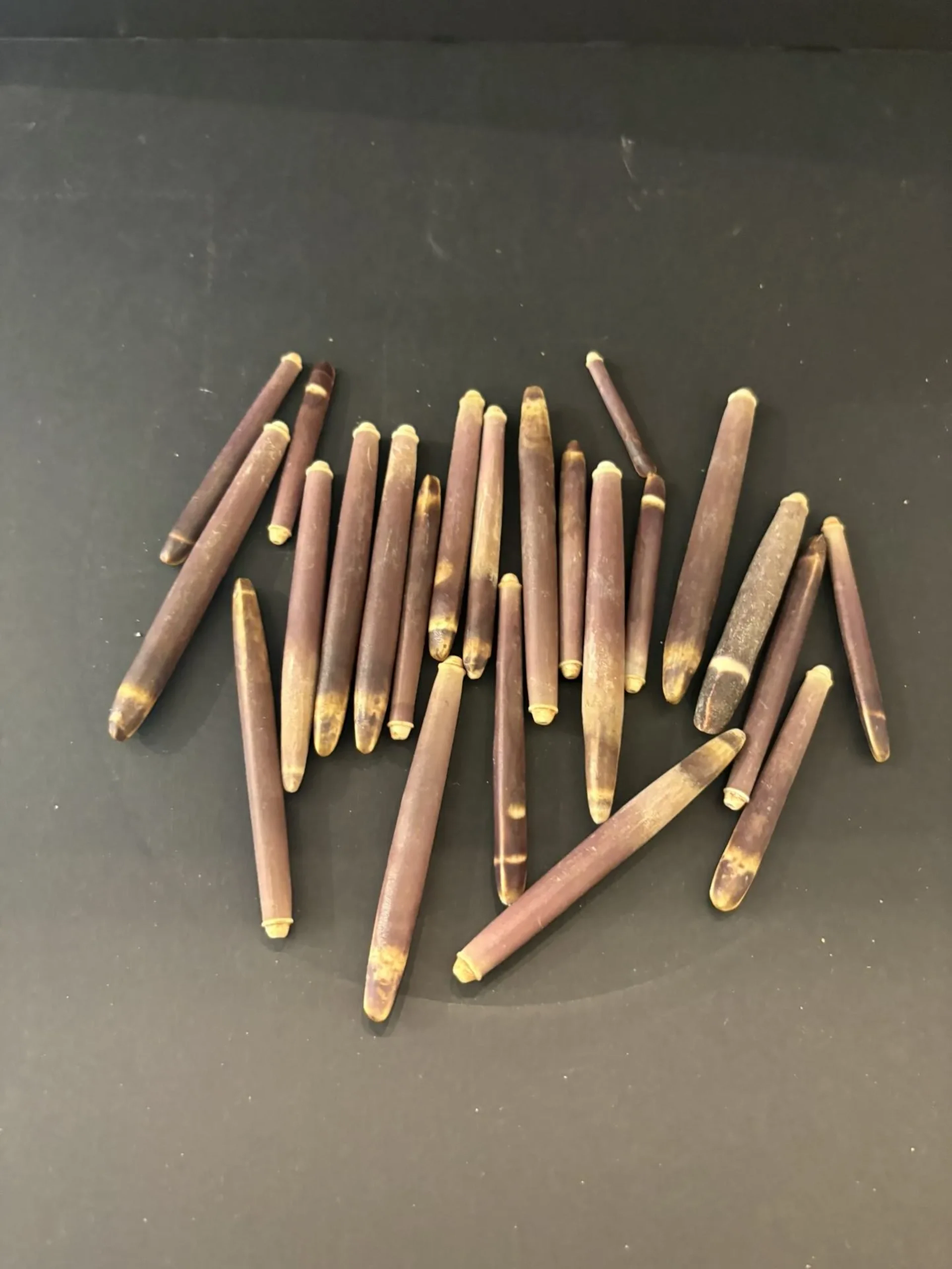 Piquants d'oursins crayons - Lot 345