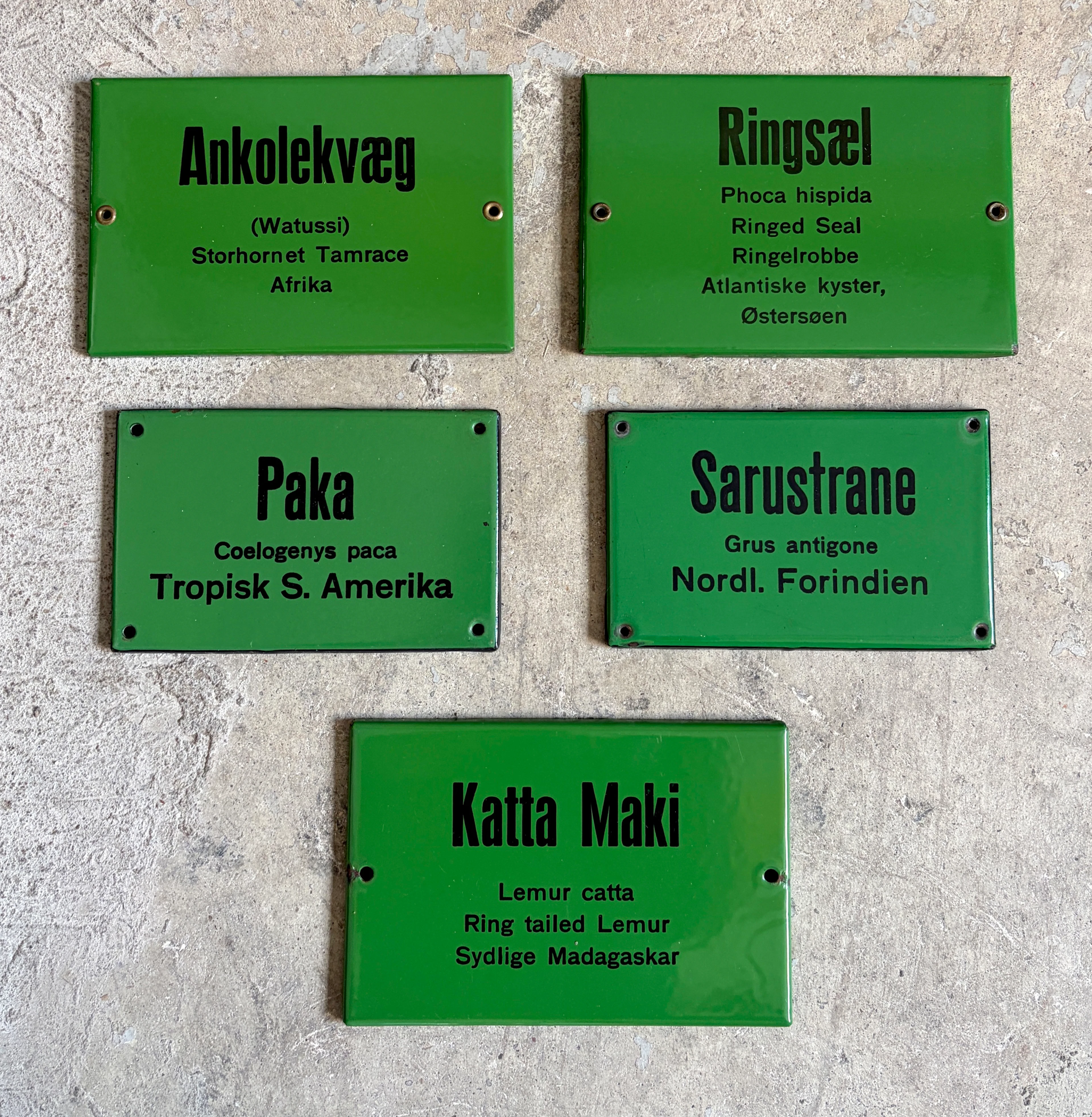 Zoologisk Have (5 stk)