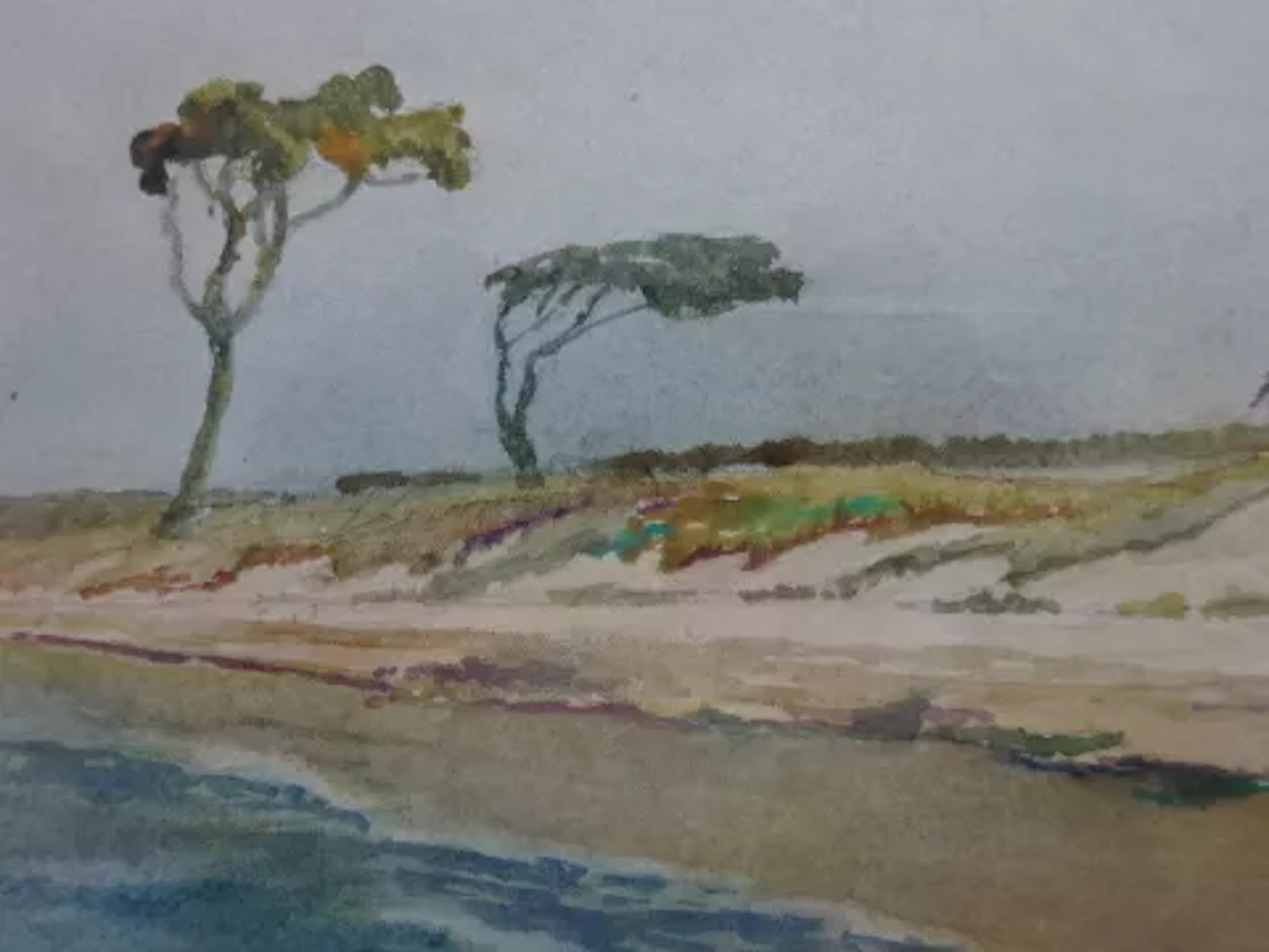 Kühl - Dünen und Windflüchter am Ufer