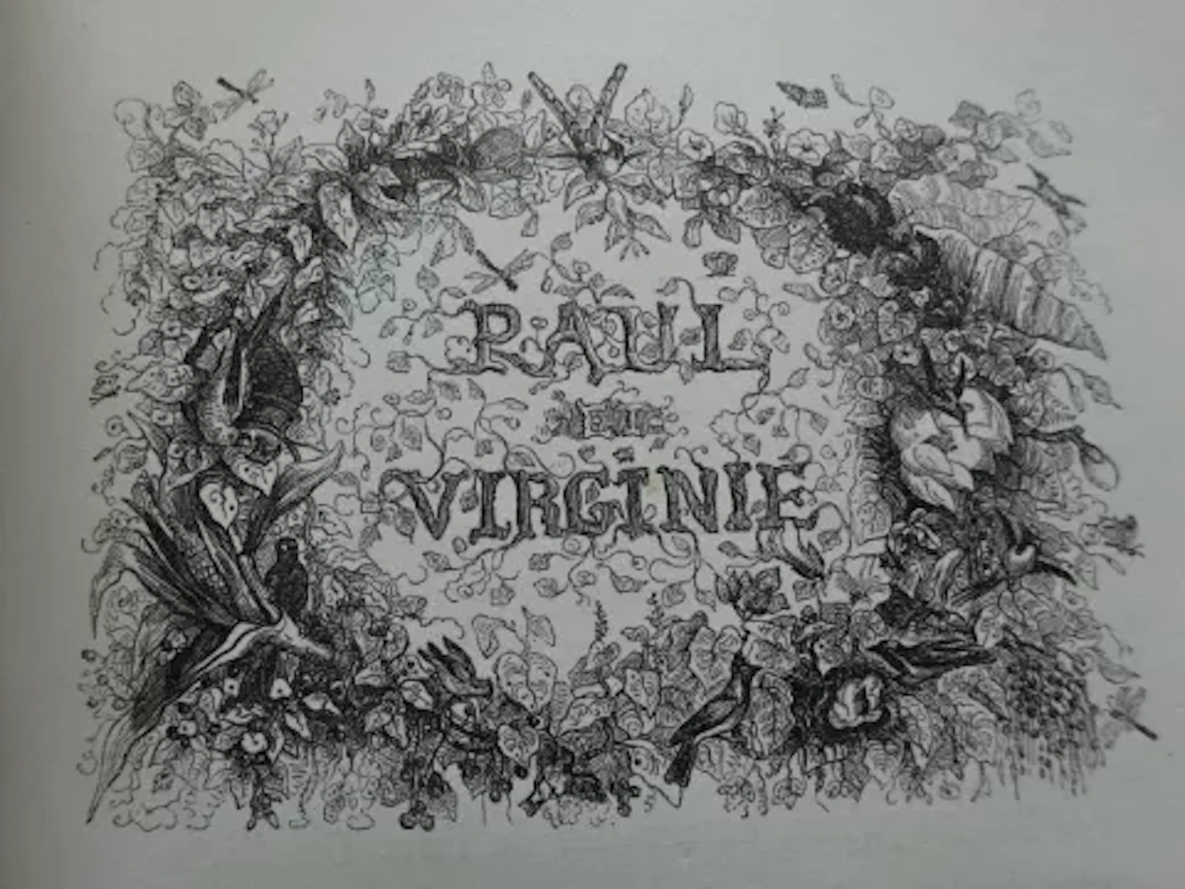 Bernardin - Paul und Virginie