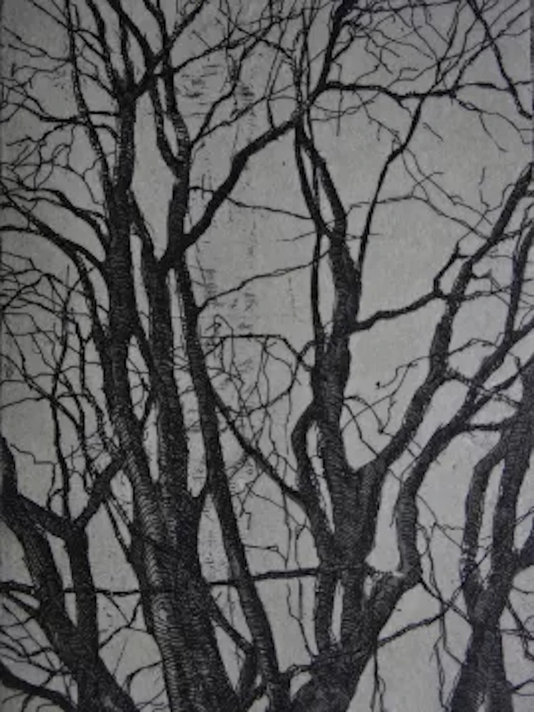 Anderson - Kahler Baum