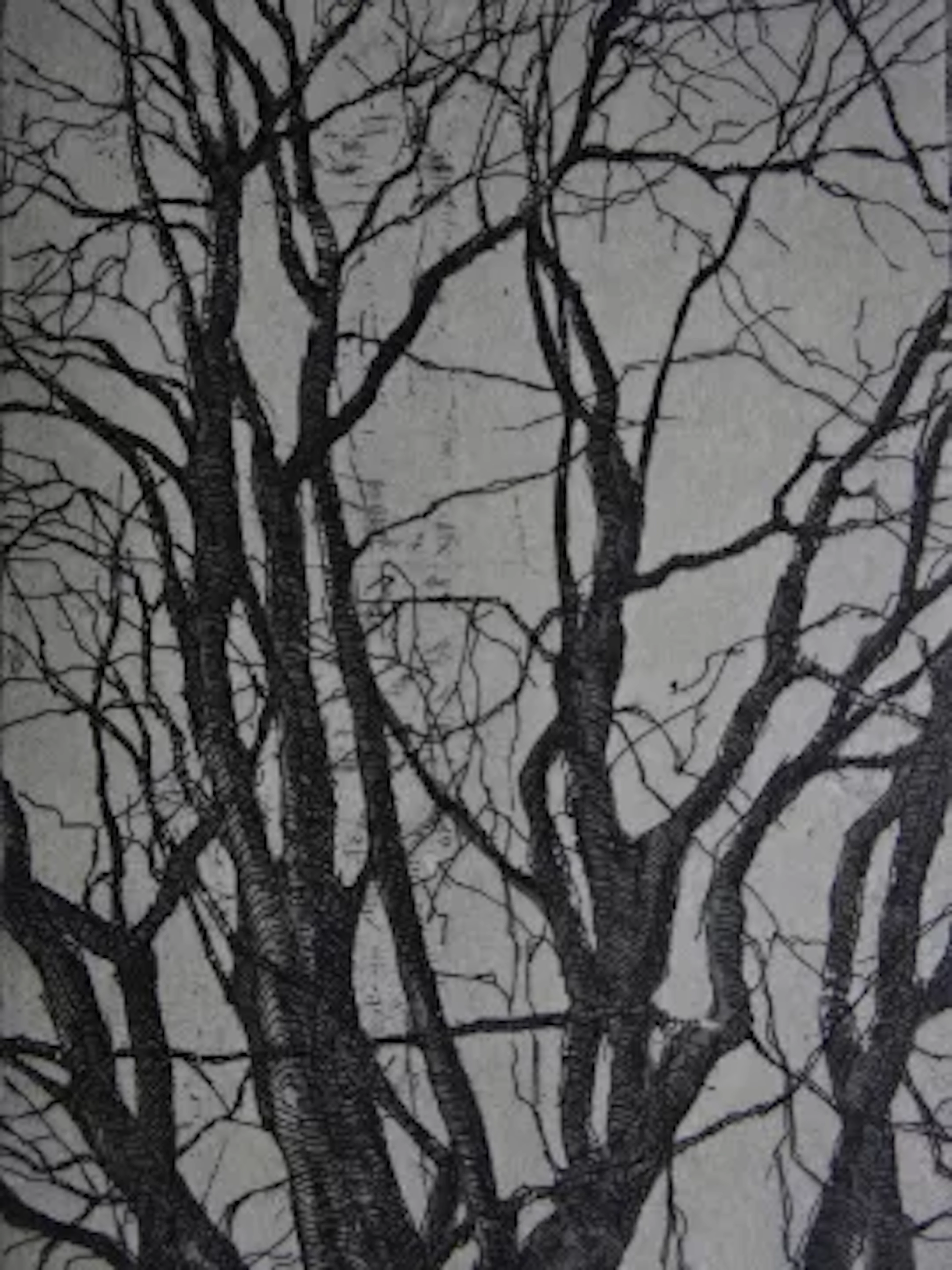 Anderson - Kahler Baum