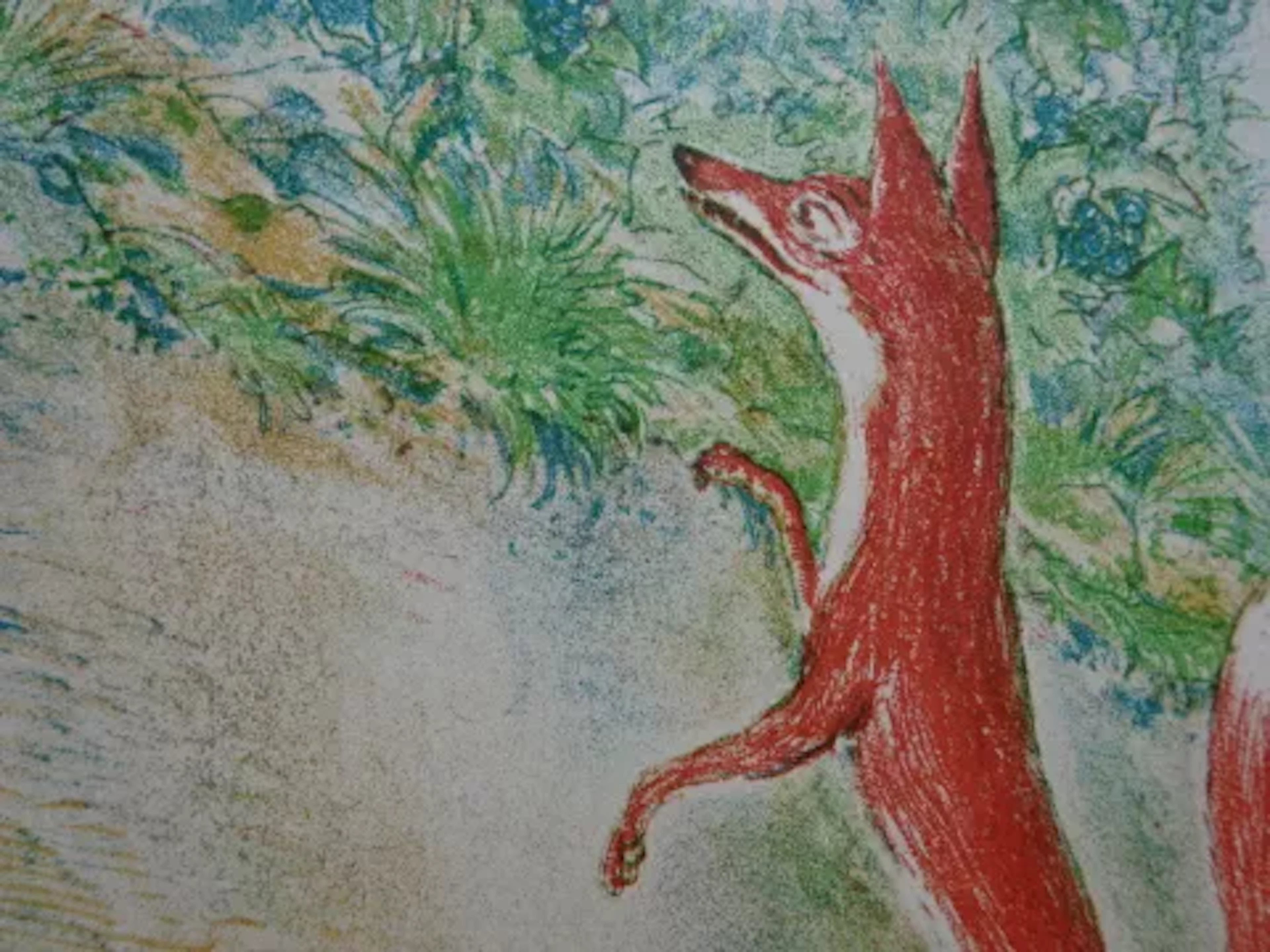 Weber - Fuchs und die Trauben