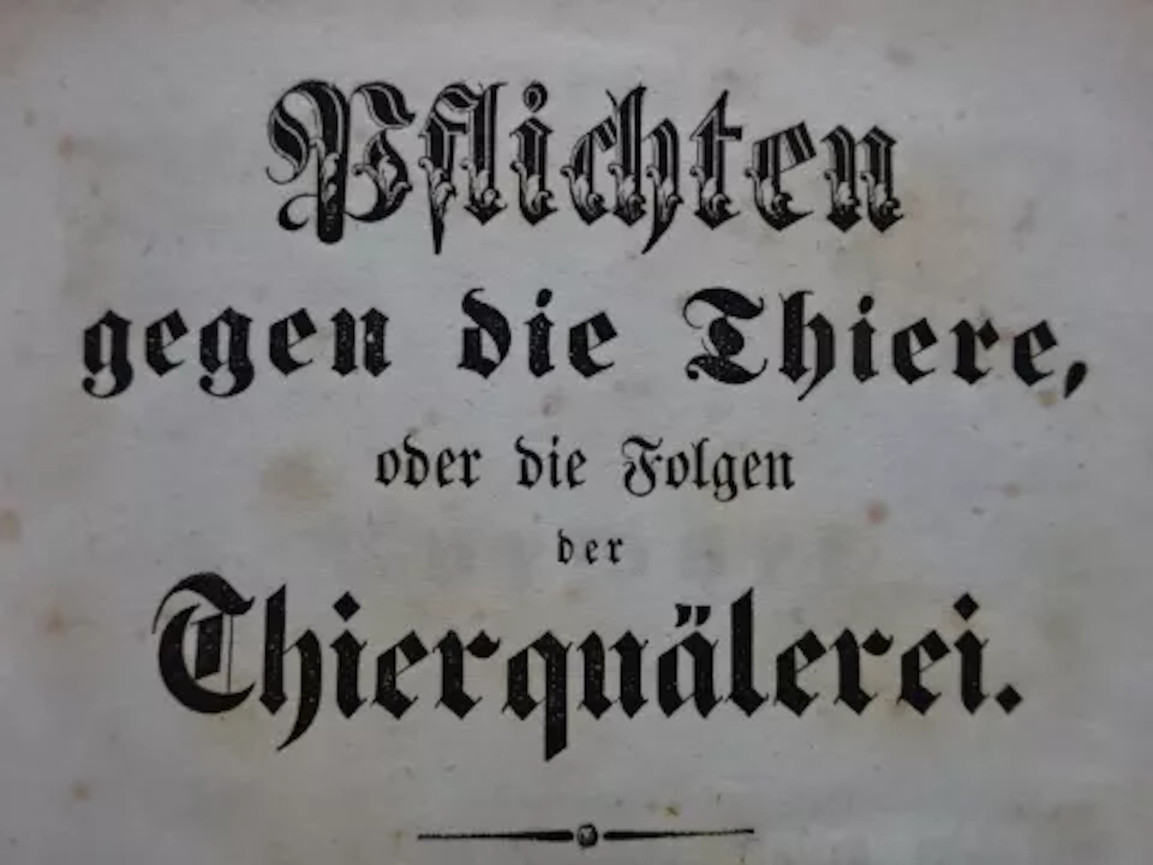 Breiner - Pflichten gegen die Thiere