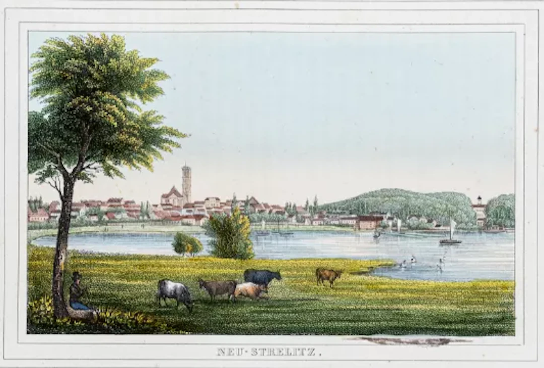 Lisch - Meklenburg