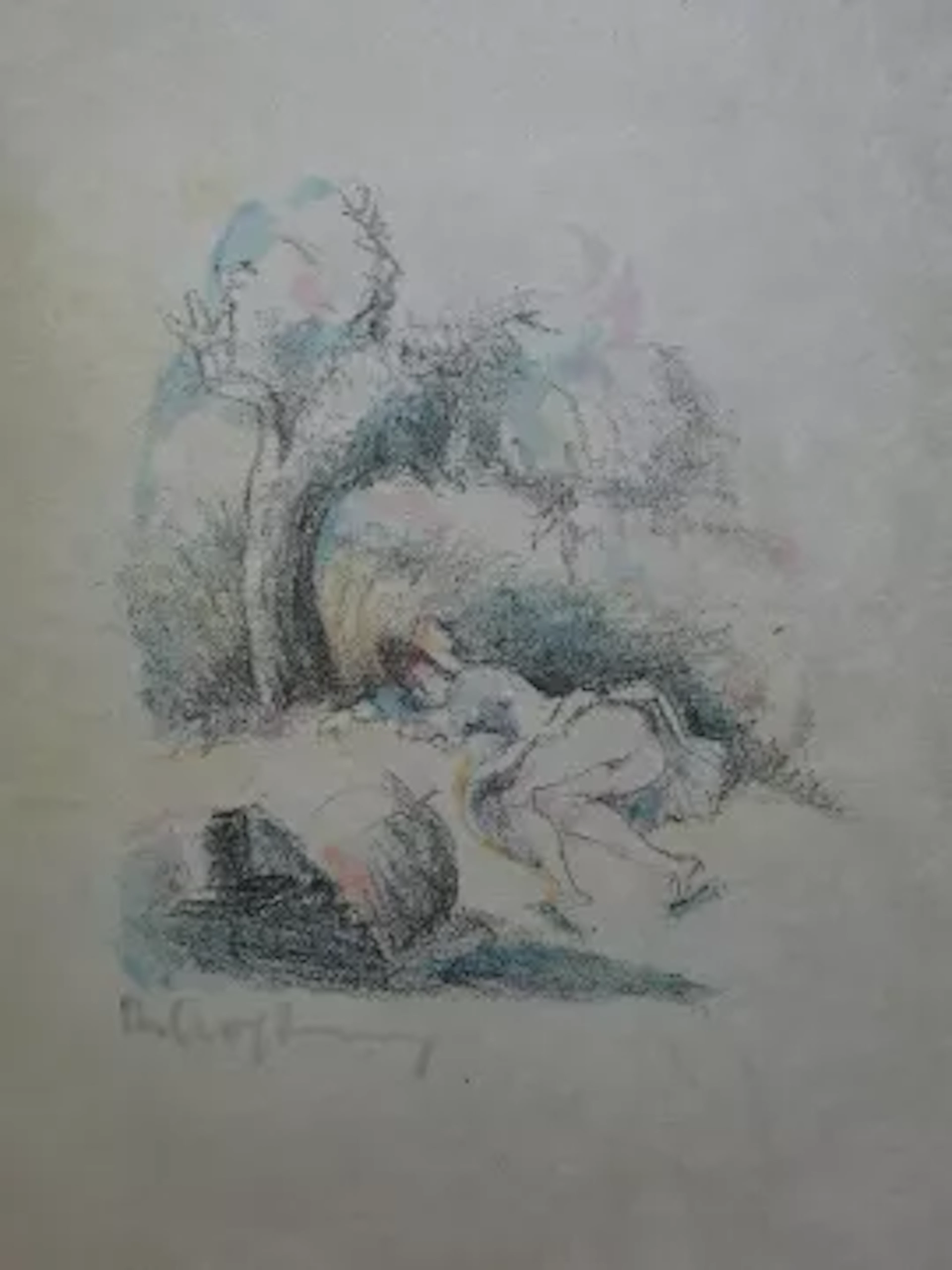 Goethe - Tagebuch