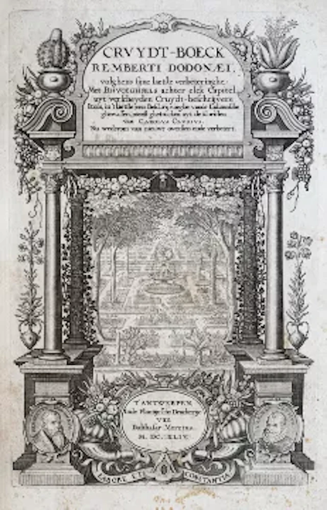 Dodonaeus - Cruydt-Boeck 1644