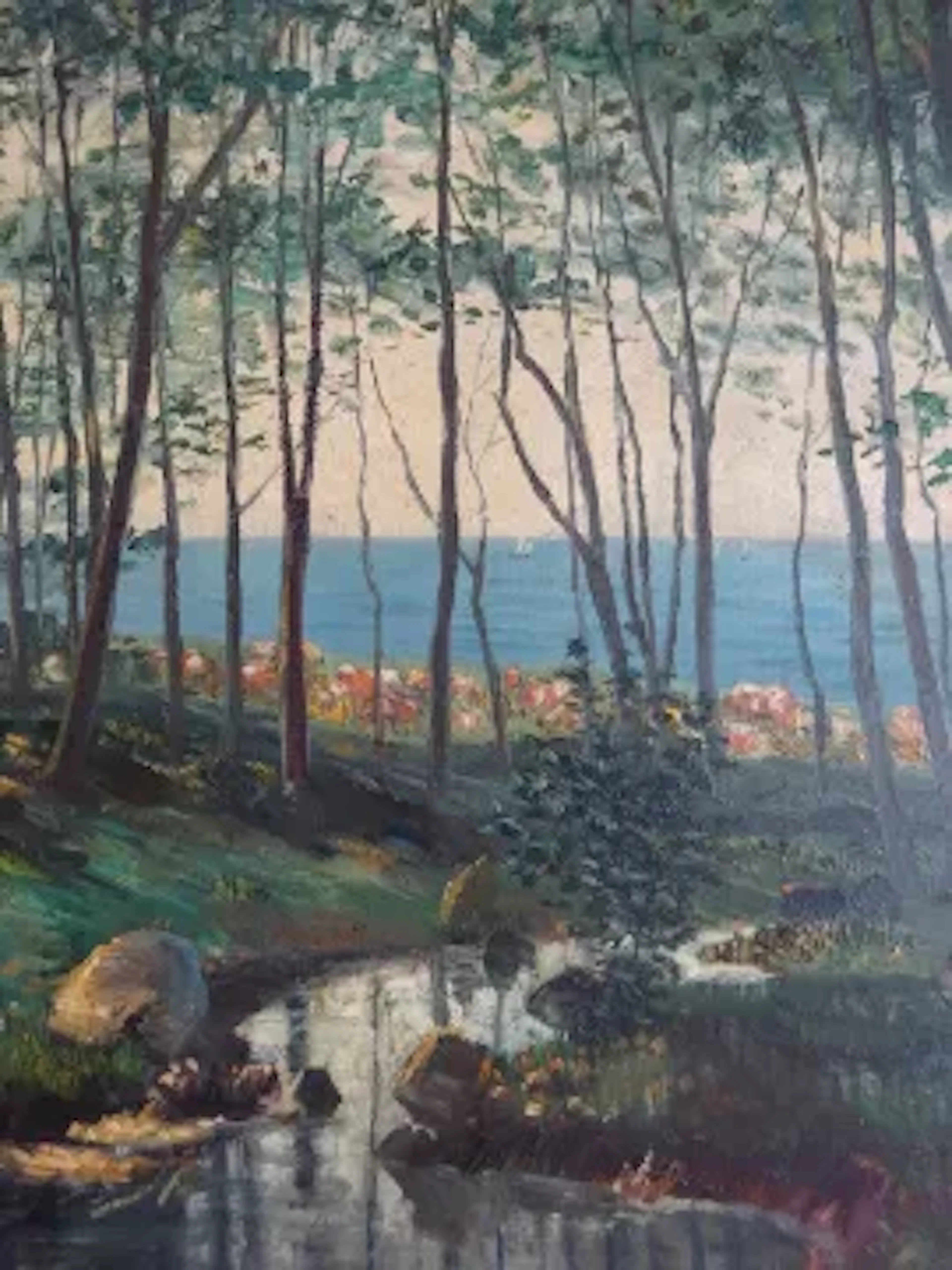 Günther - Wald bei Heiligendamm