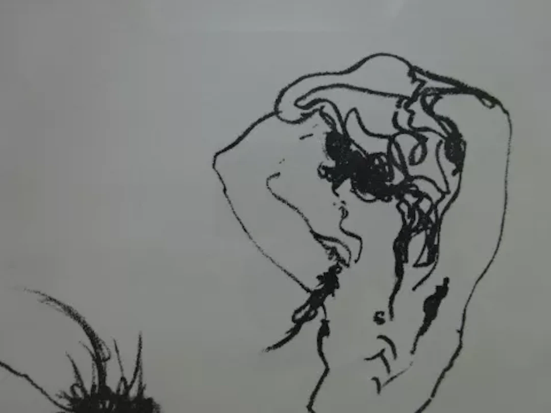 Janssen - Dir, Dickus