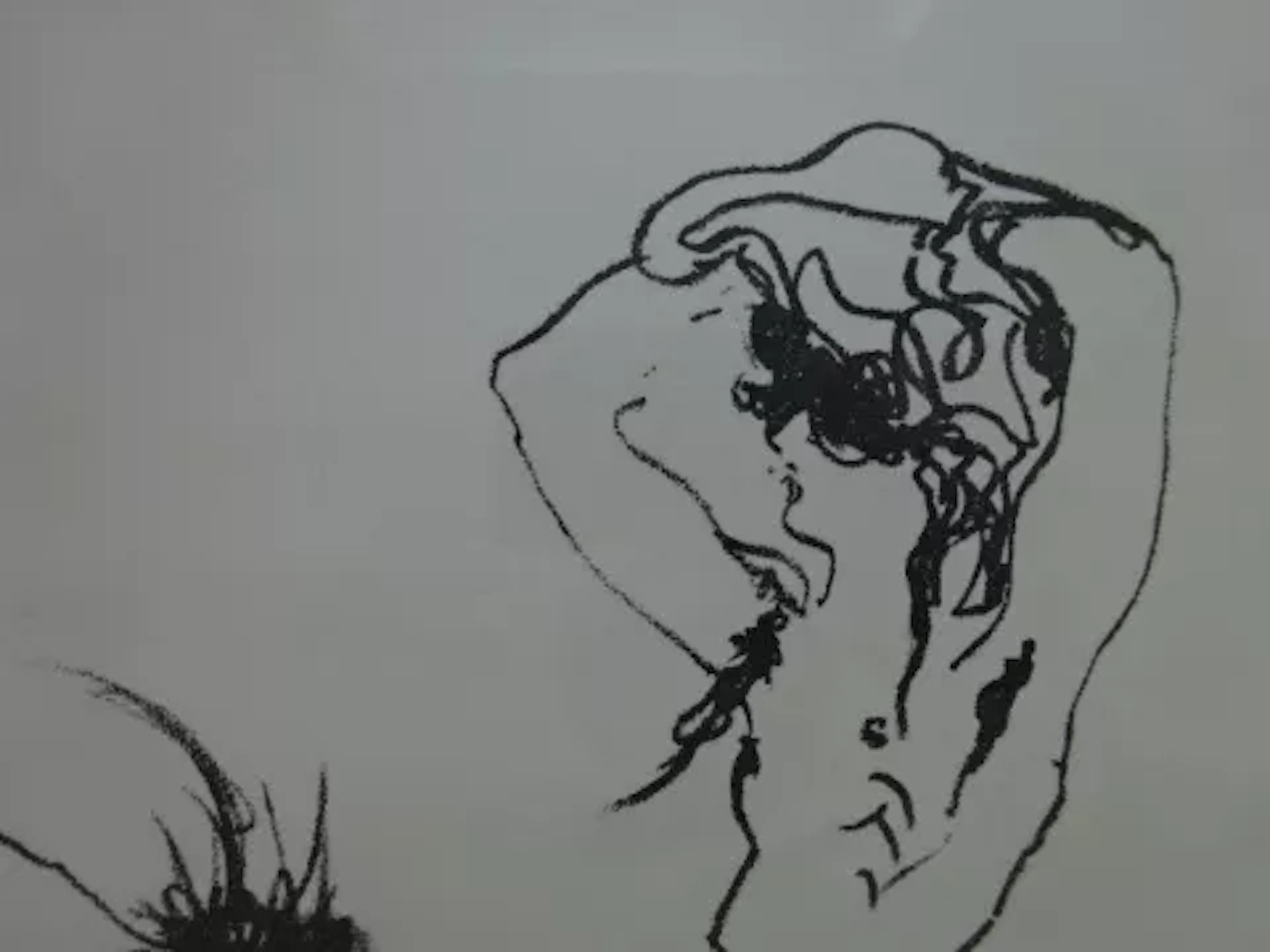 Janssen - Dir, Dickus
