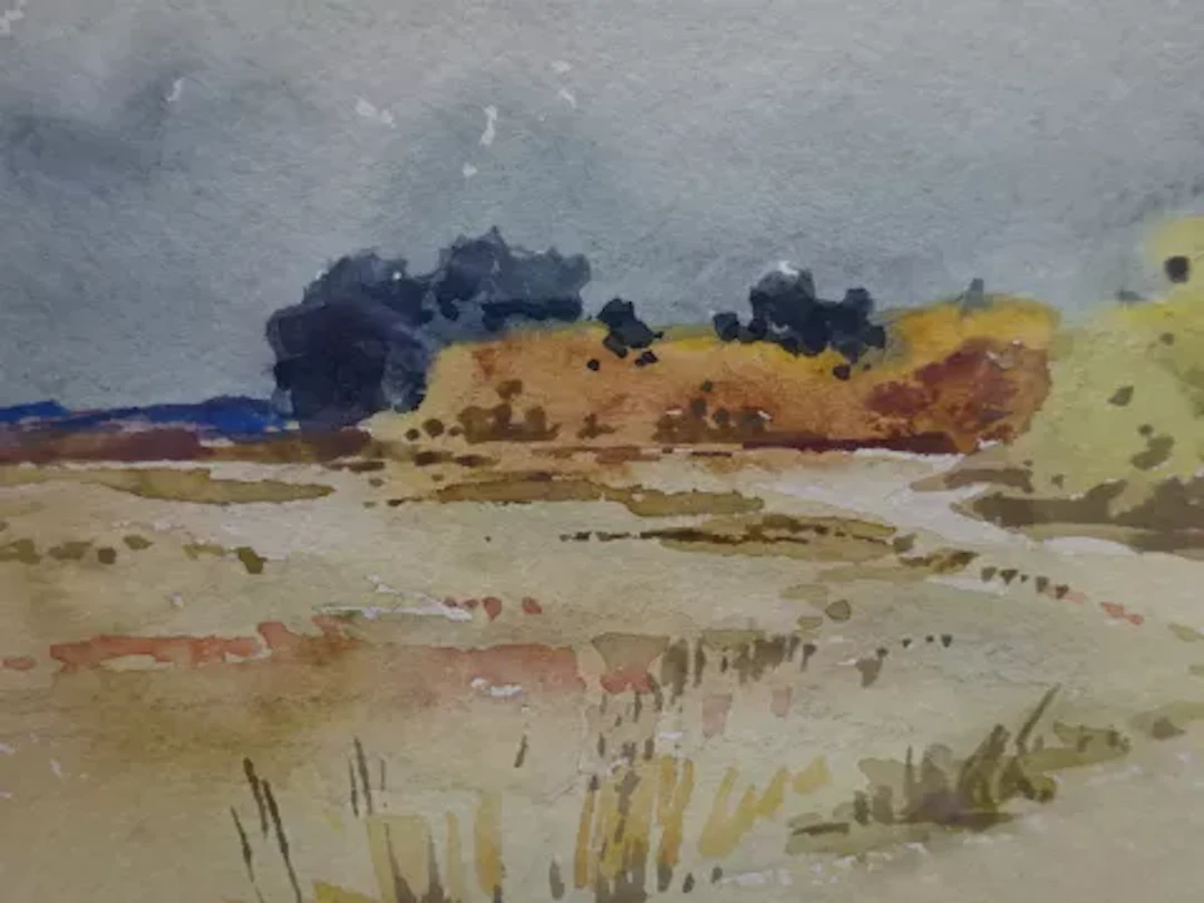Droege - Sommer in der Heide