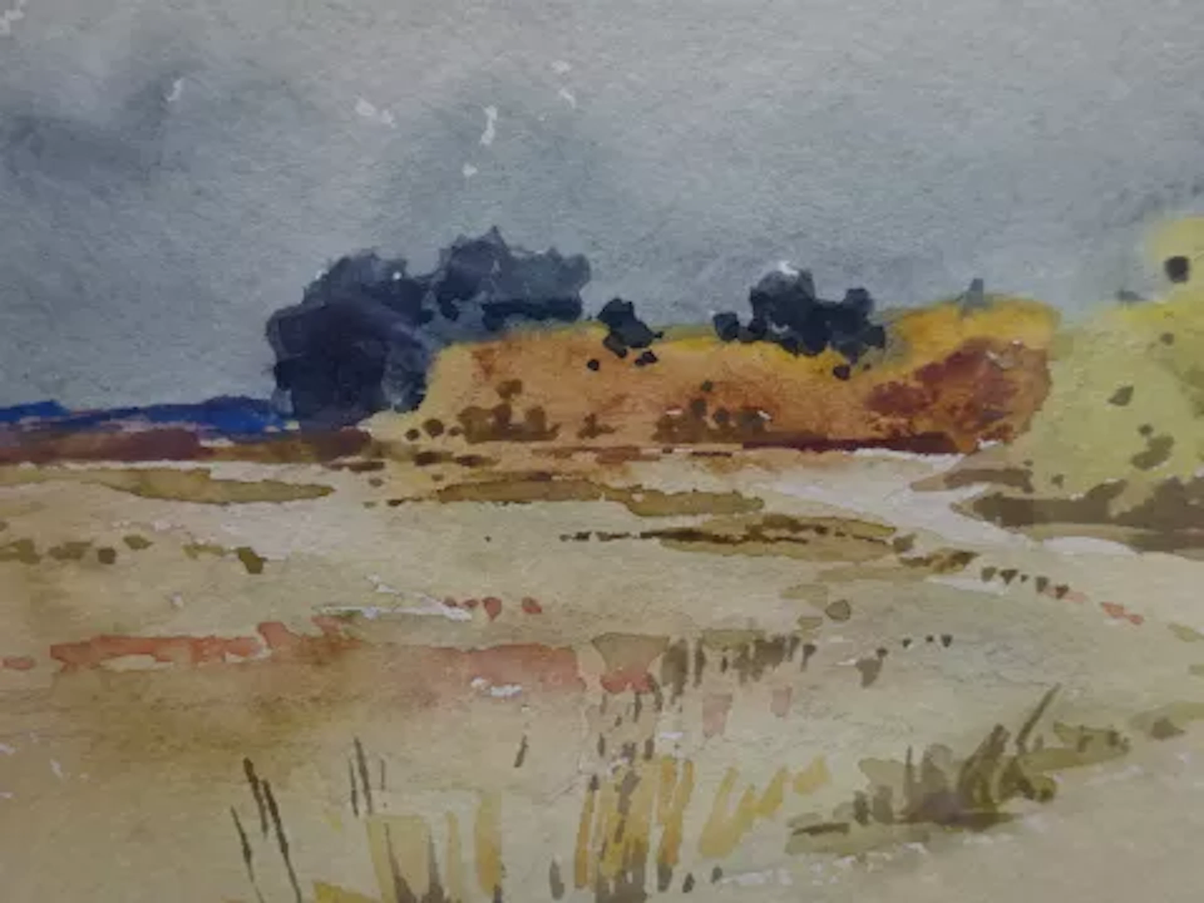 Droege - Sommer in der Heide