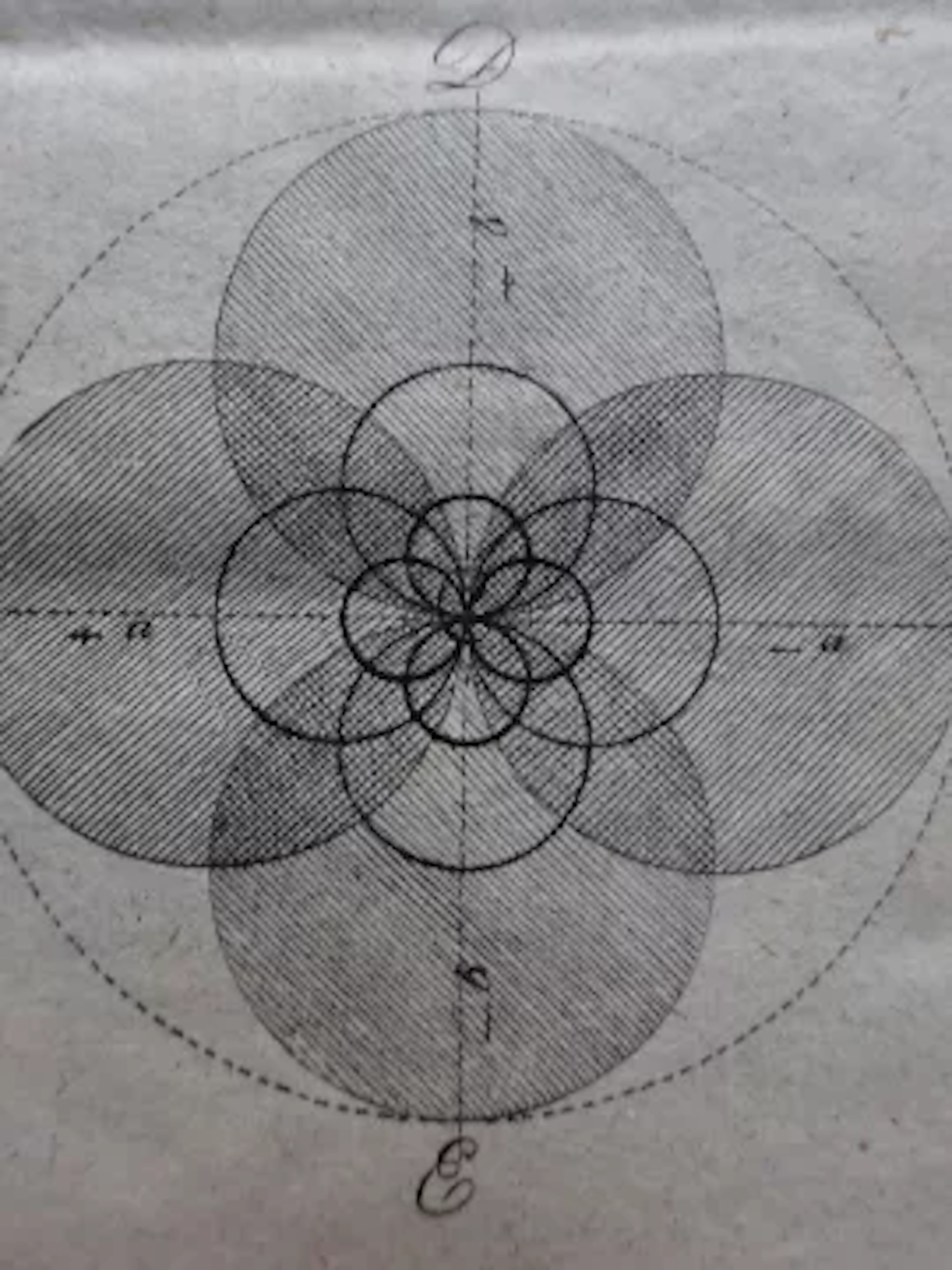 Rühle v. Lilienstern - Hieroglyphen