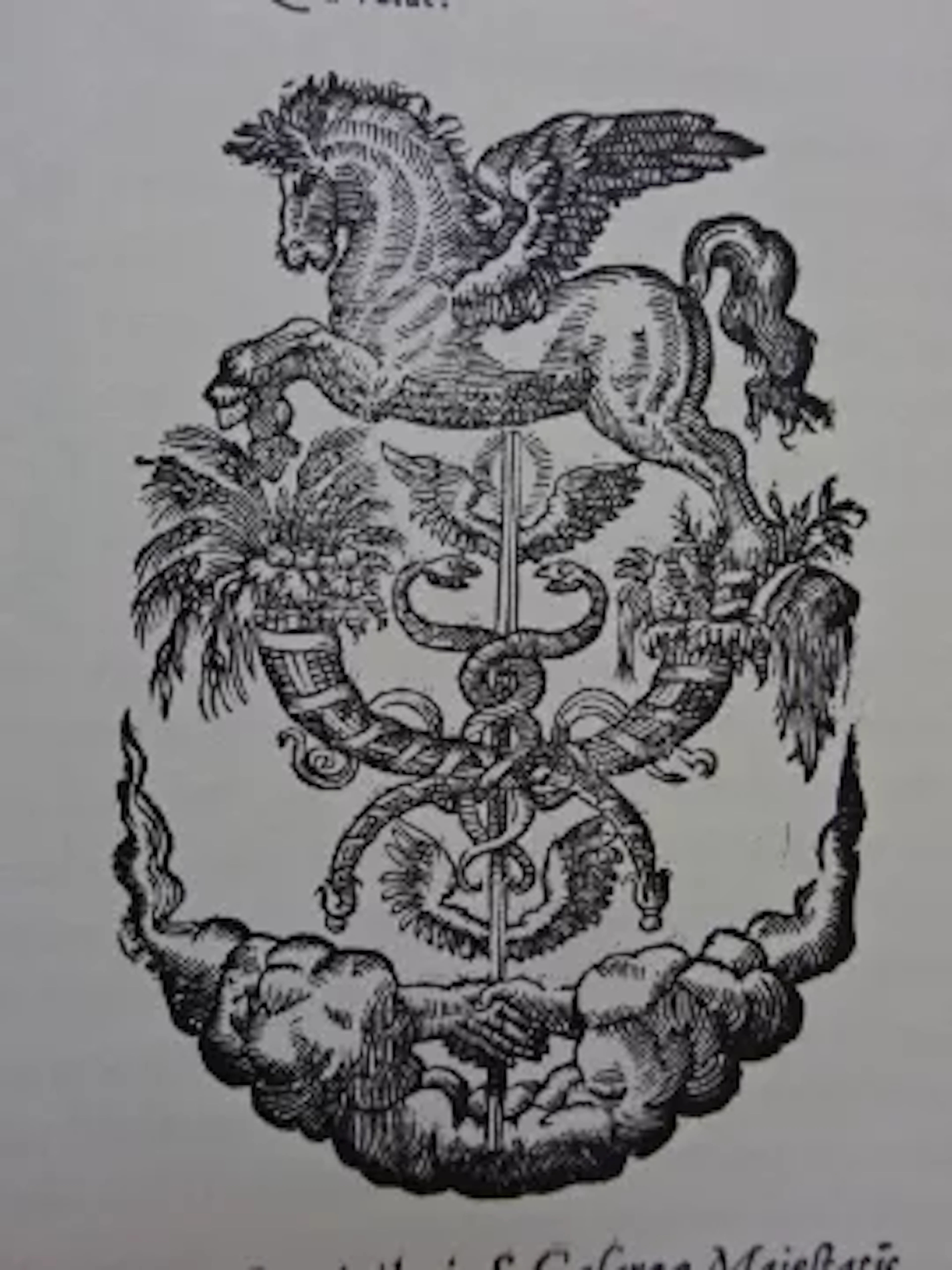 Dornavius - Amphitheatrum Nachdruck