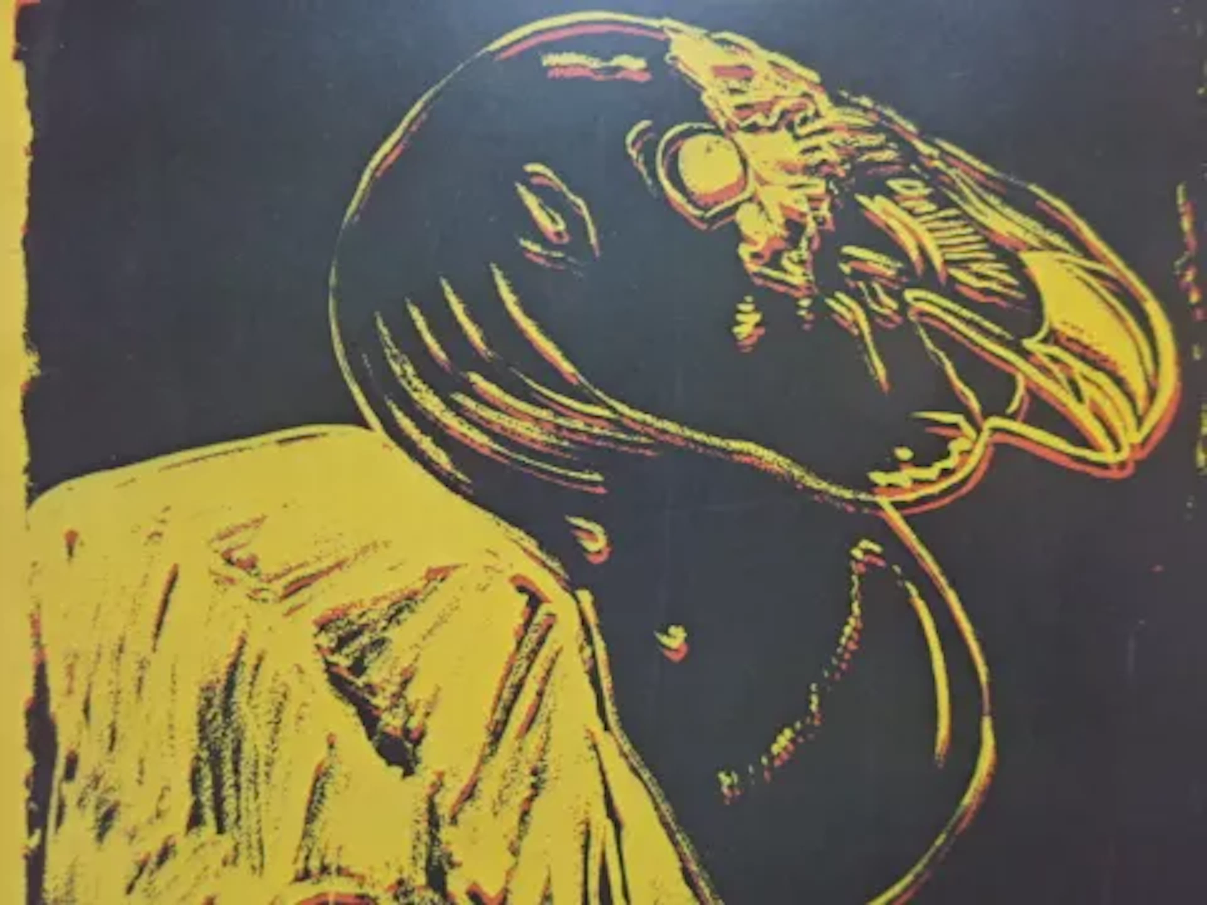 Warhol - Californa Condor
