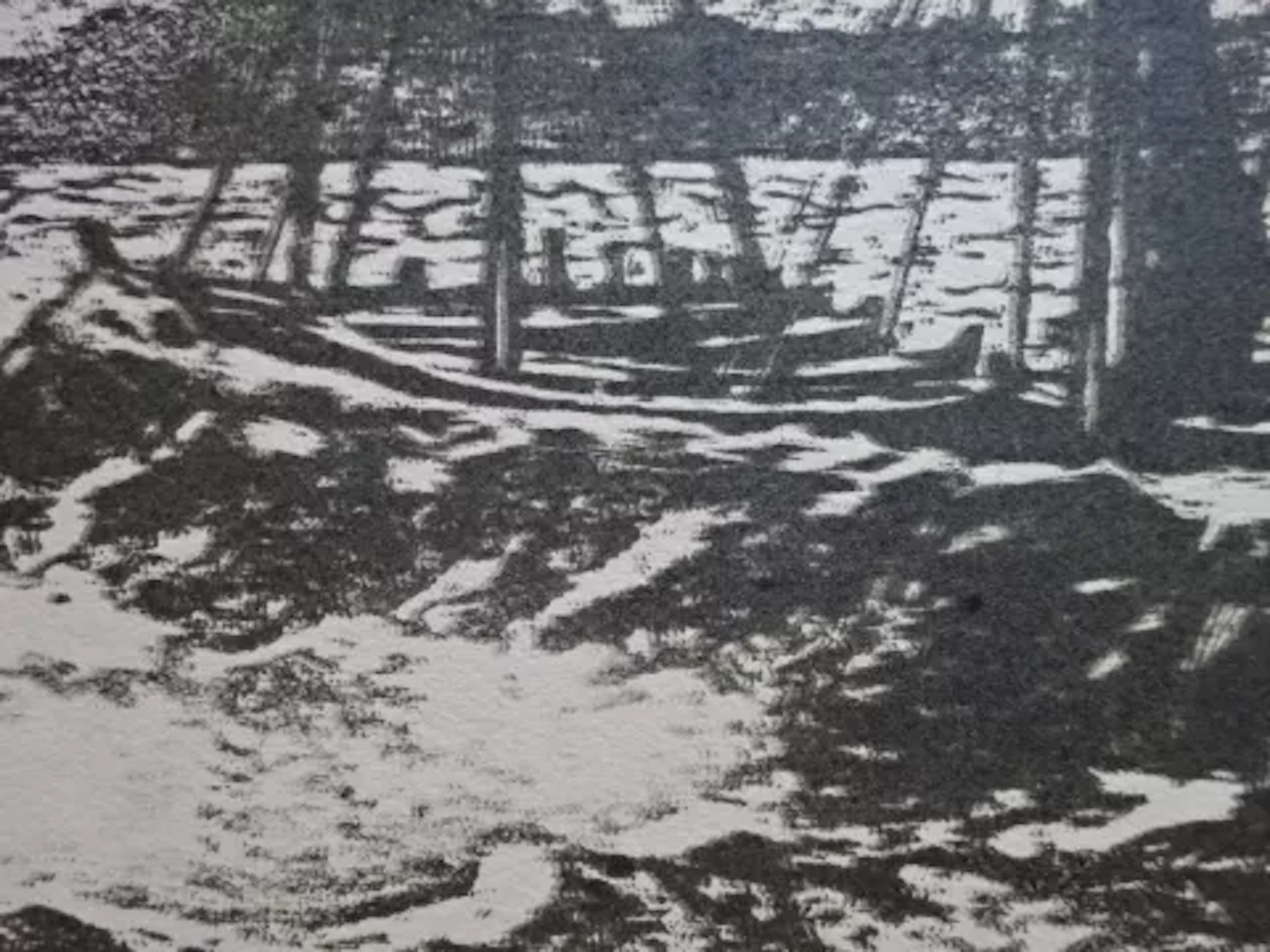 Illies - Mole in Möltenort