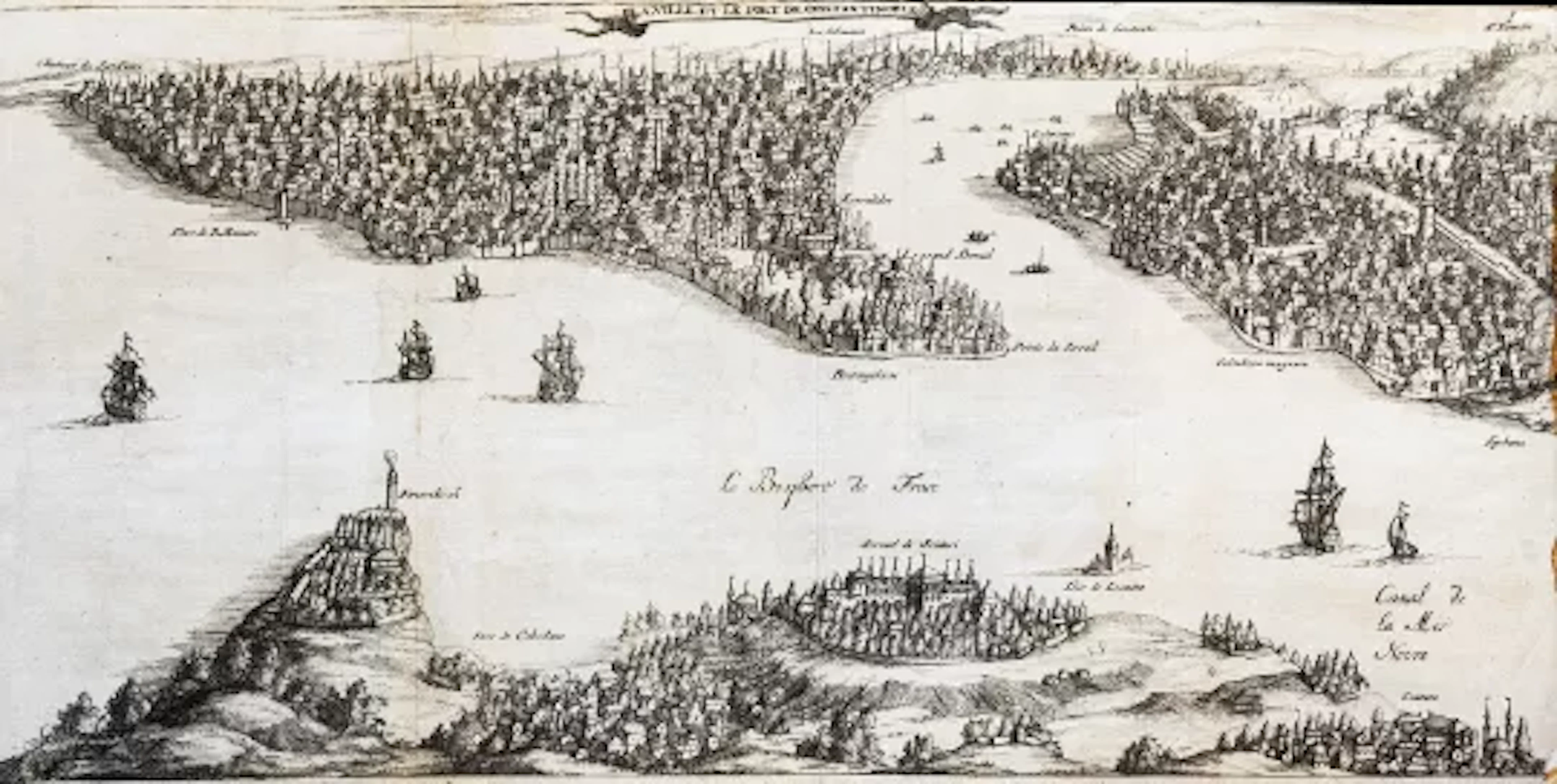 Cyaneae Oder Stein-Klippen 1687