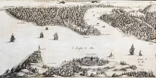 Cyaneae Oder Stein-Klippen 1687