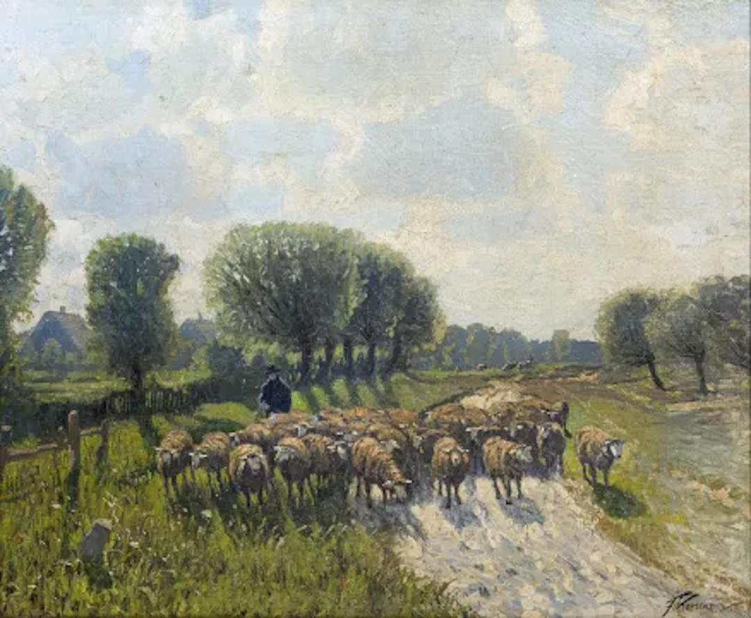 Korwan - Schafherde