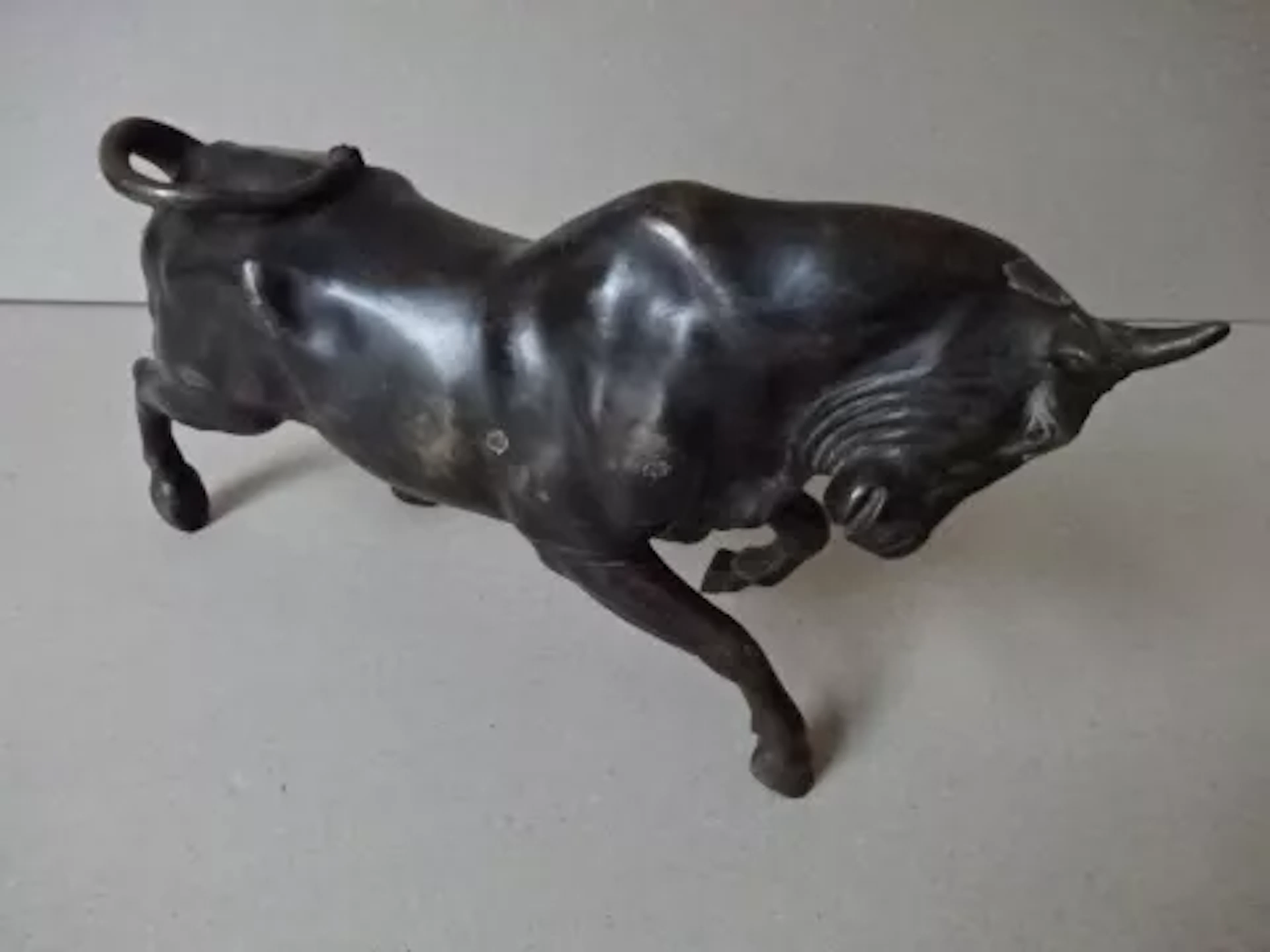 Anonym - Stier