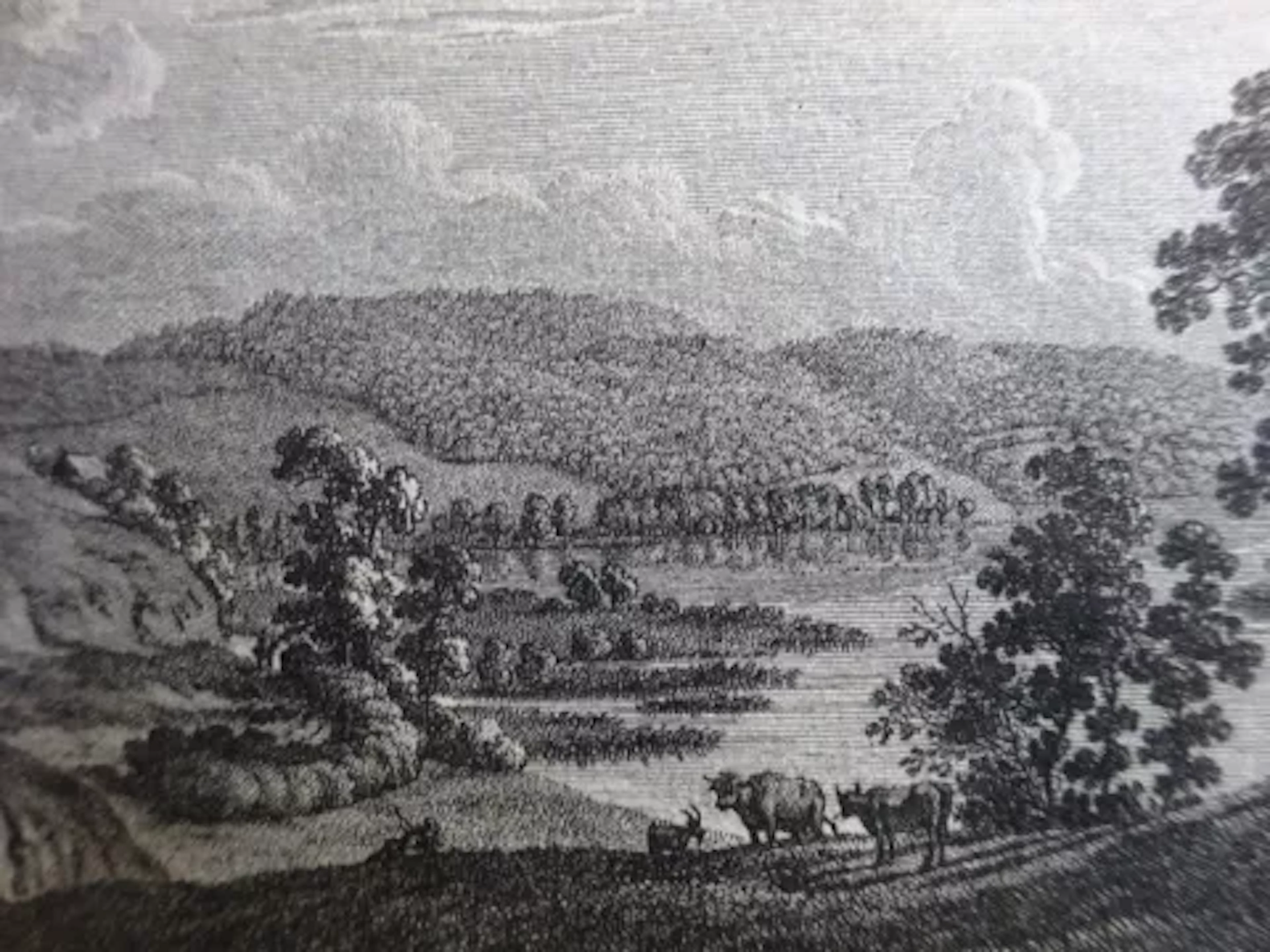 Stille - Fahrt nach dem Ugley