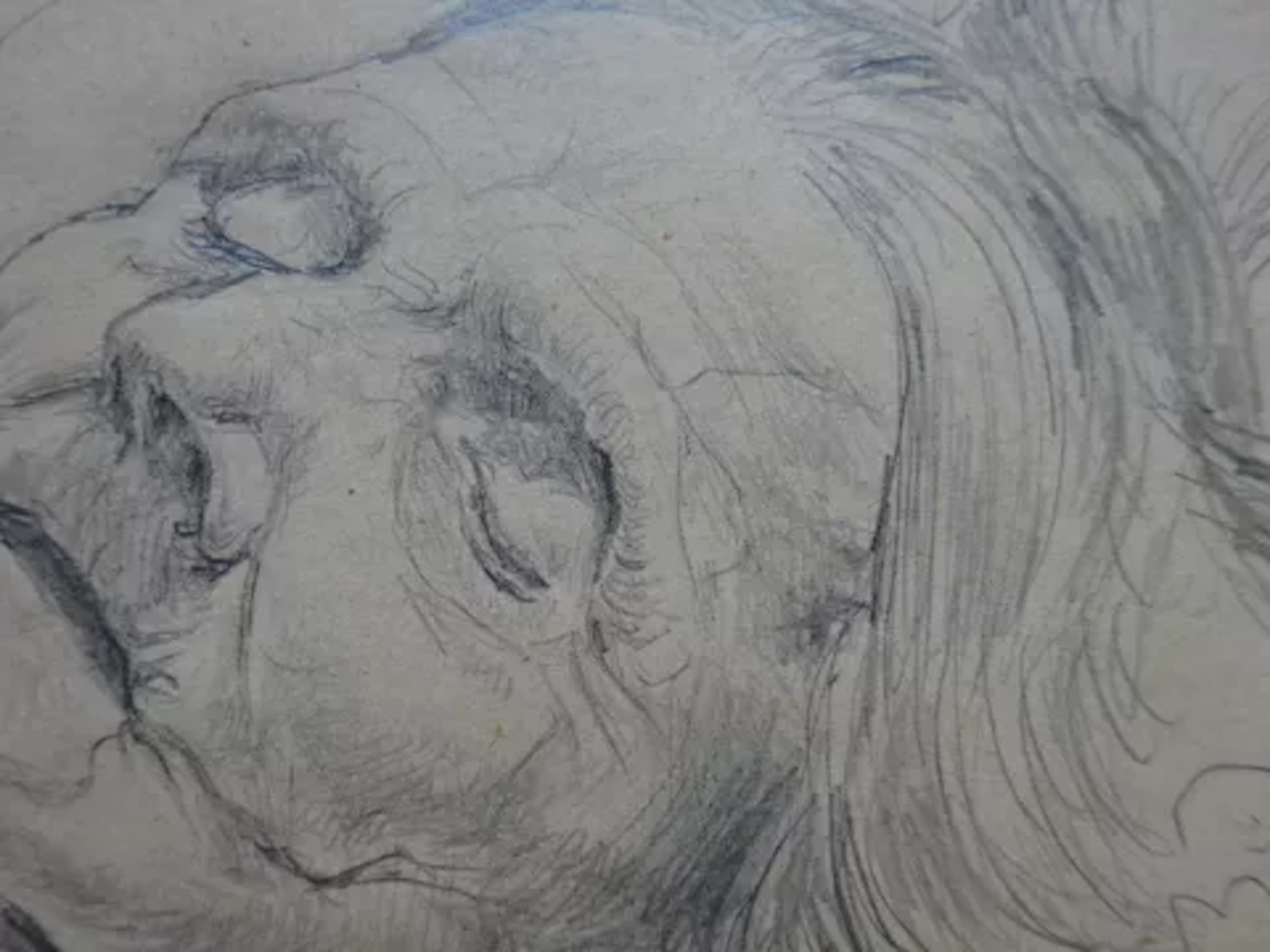 Schlichter - Meine Mutter