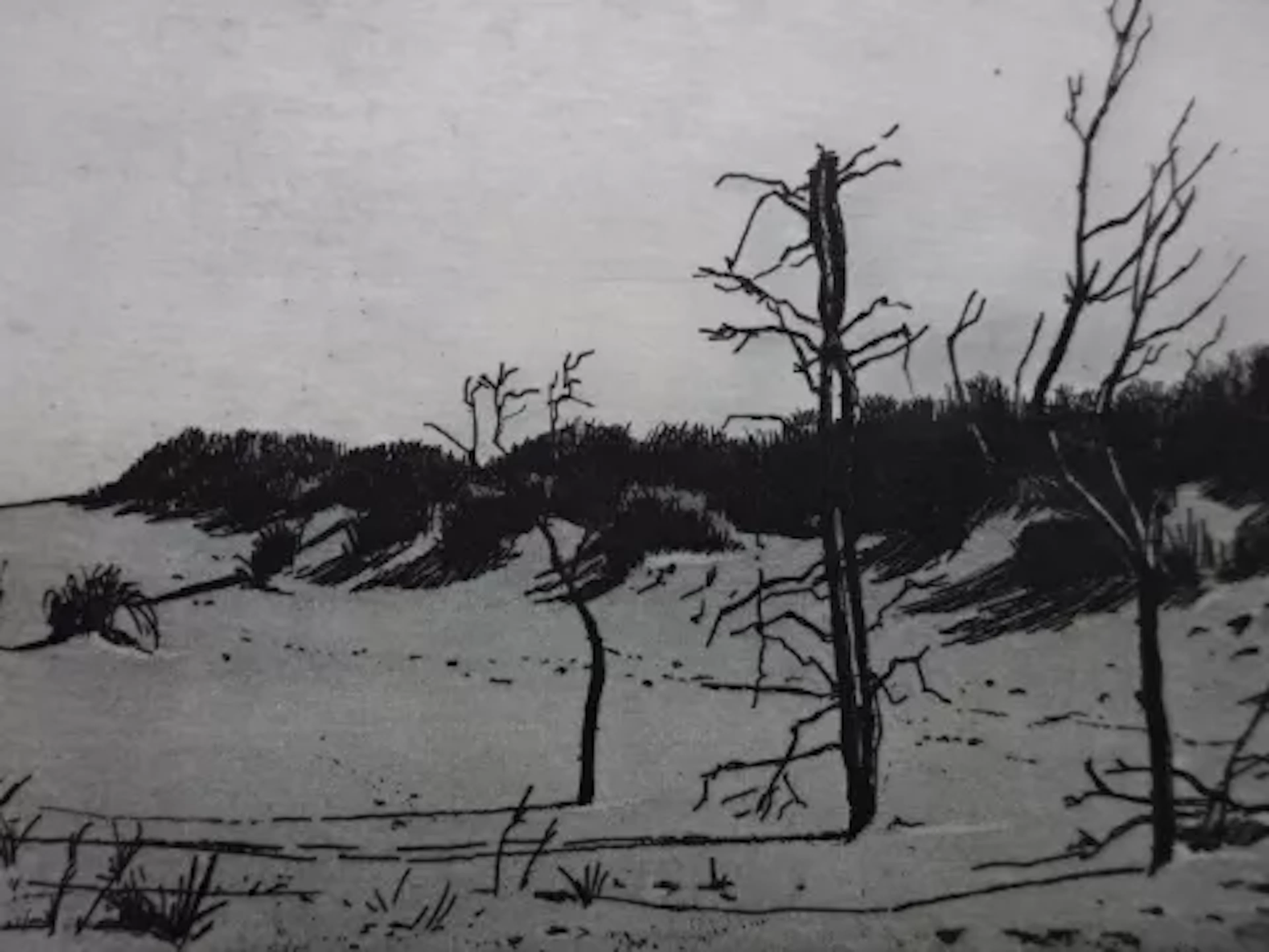Anderson - Strandlandschaft