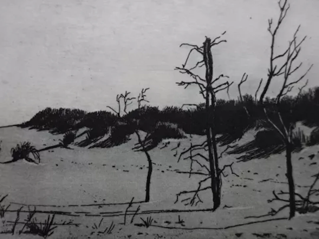 Anderson - Strandlandschaft