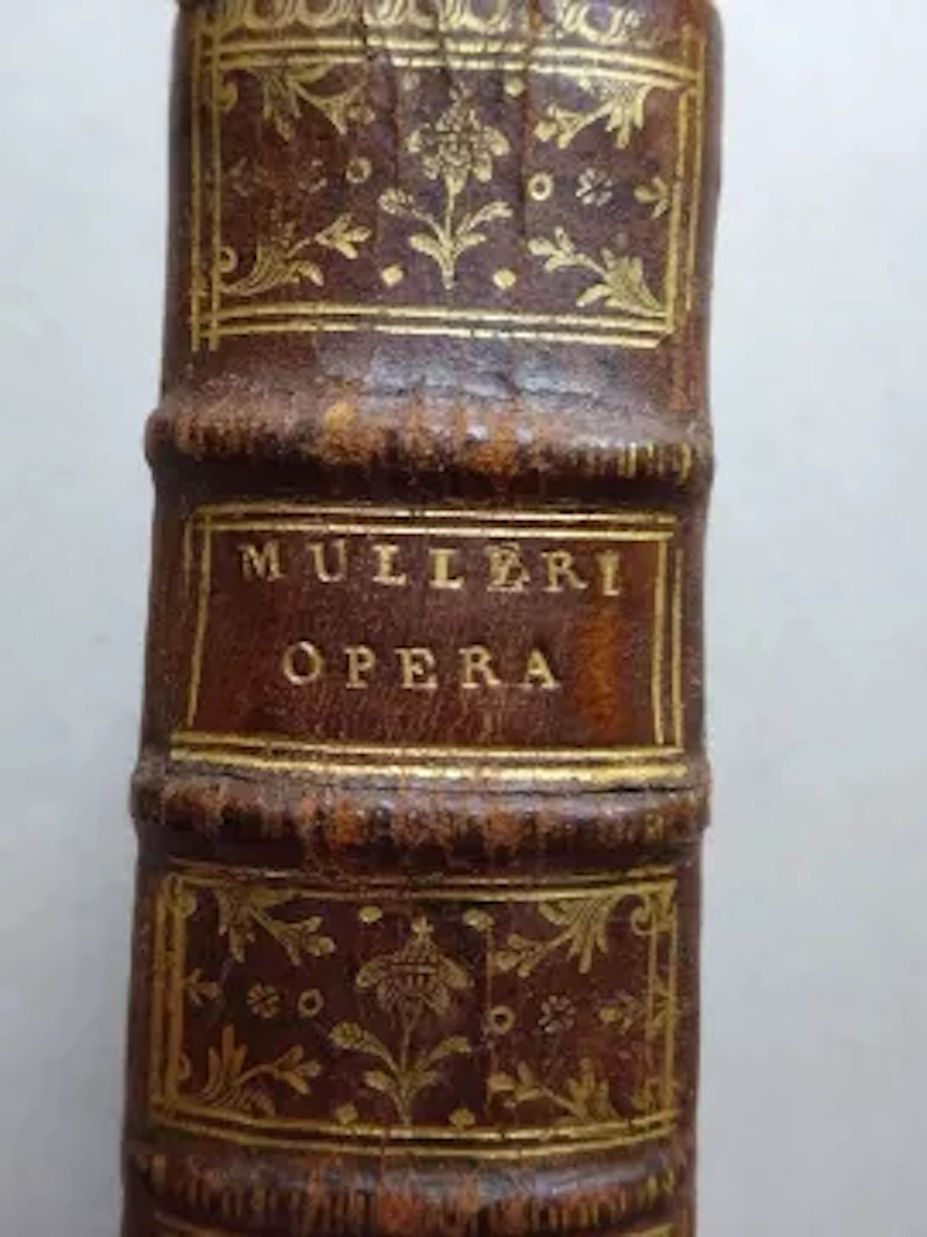 Müller - Theologia Biblica