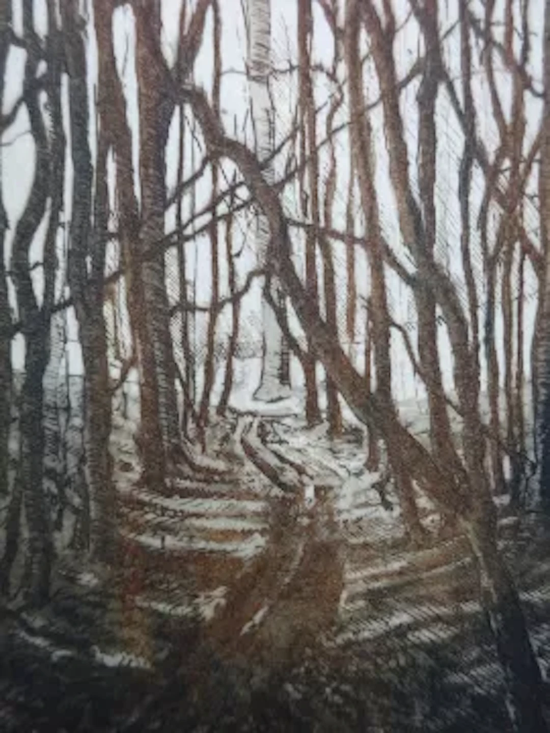 Anderson - Waldweg
